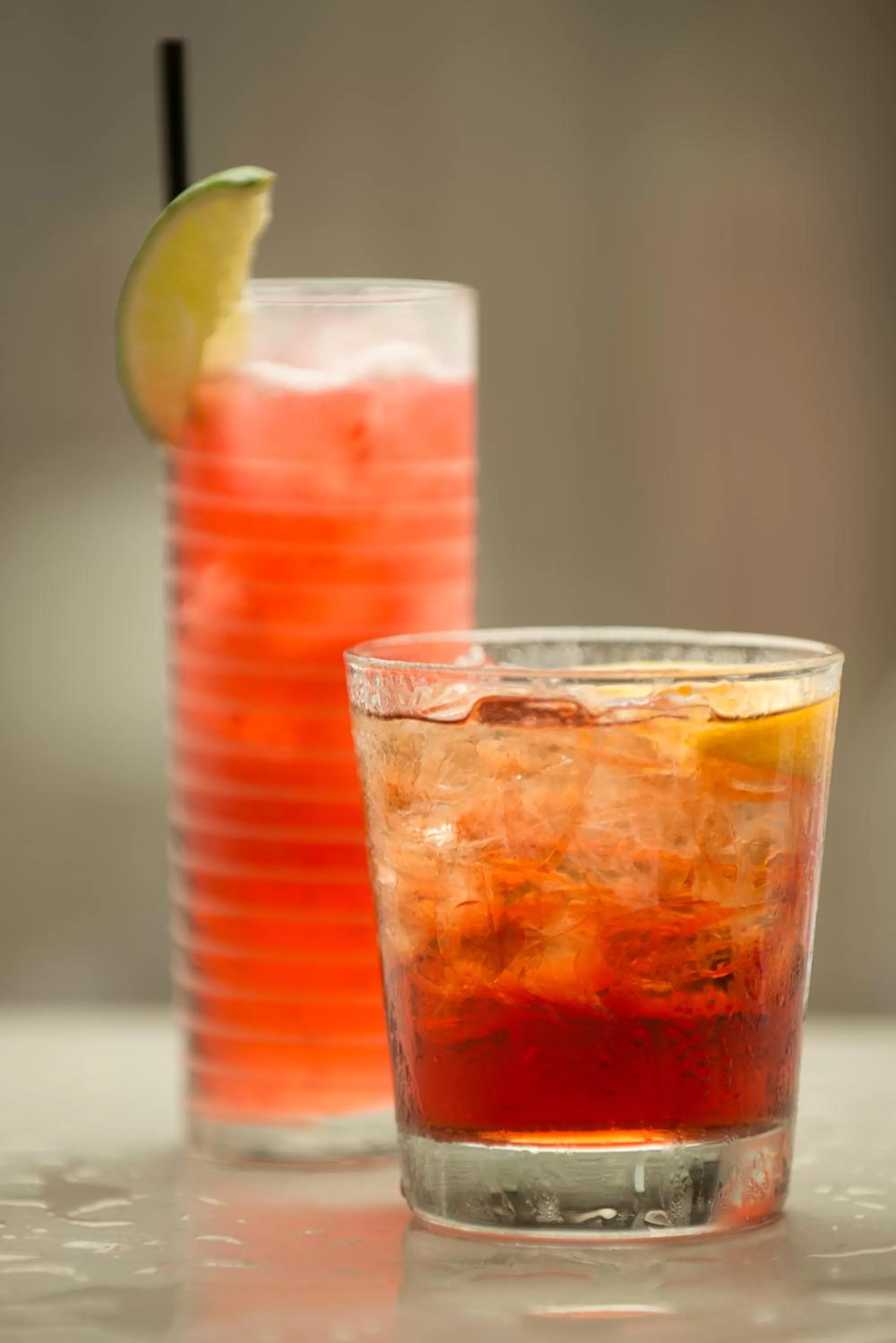 Lounge or bar in Hotel Bondi