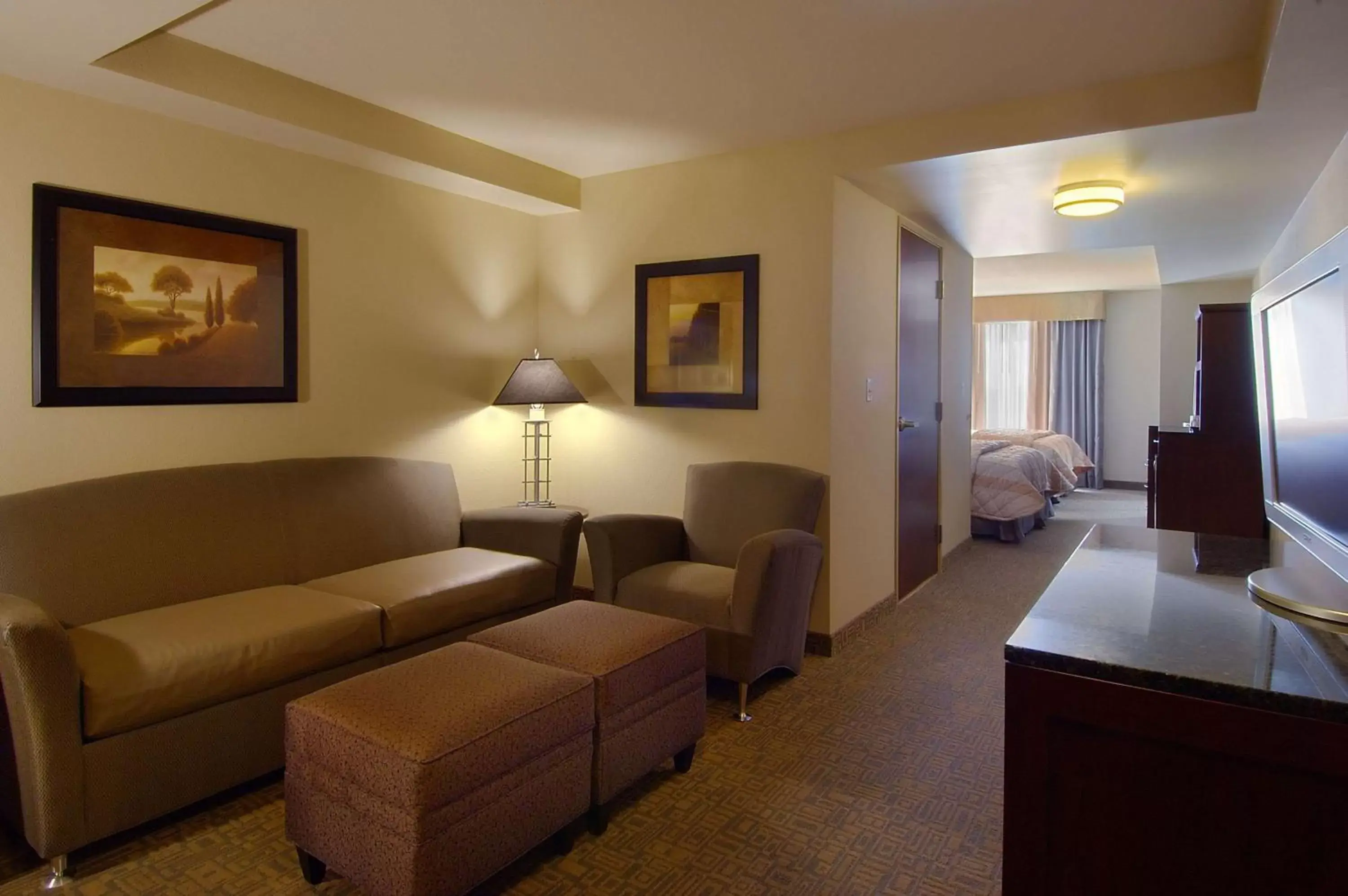 Living room, Seating Area in Hilton Garden Inn Ft Worth Alliance Airport