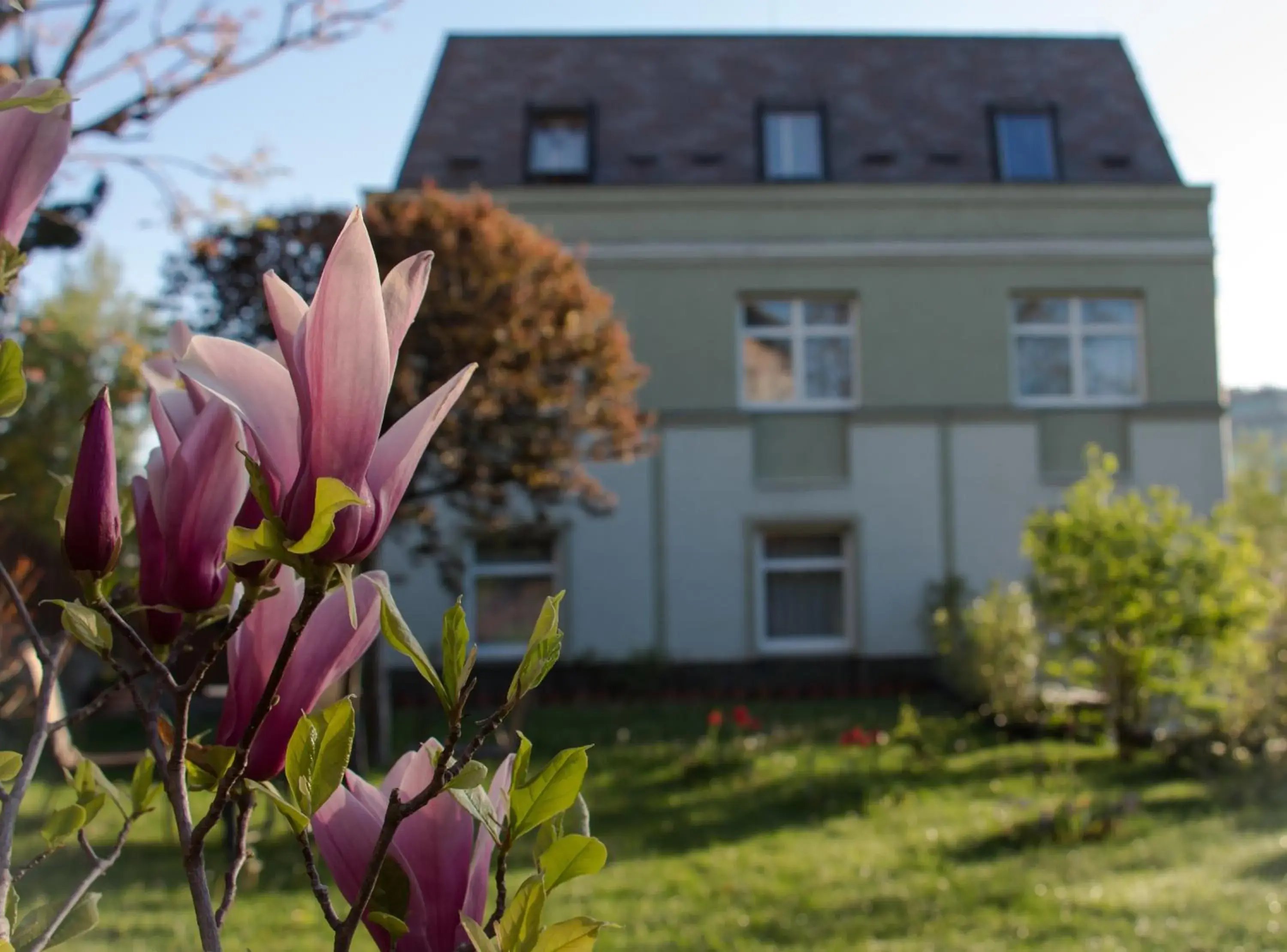 Garden, Property Building in Jagelló Business Hotel