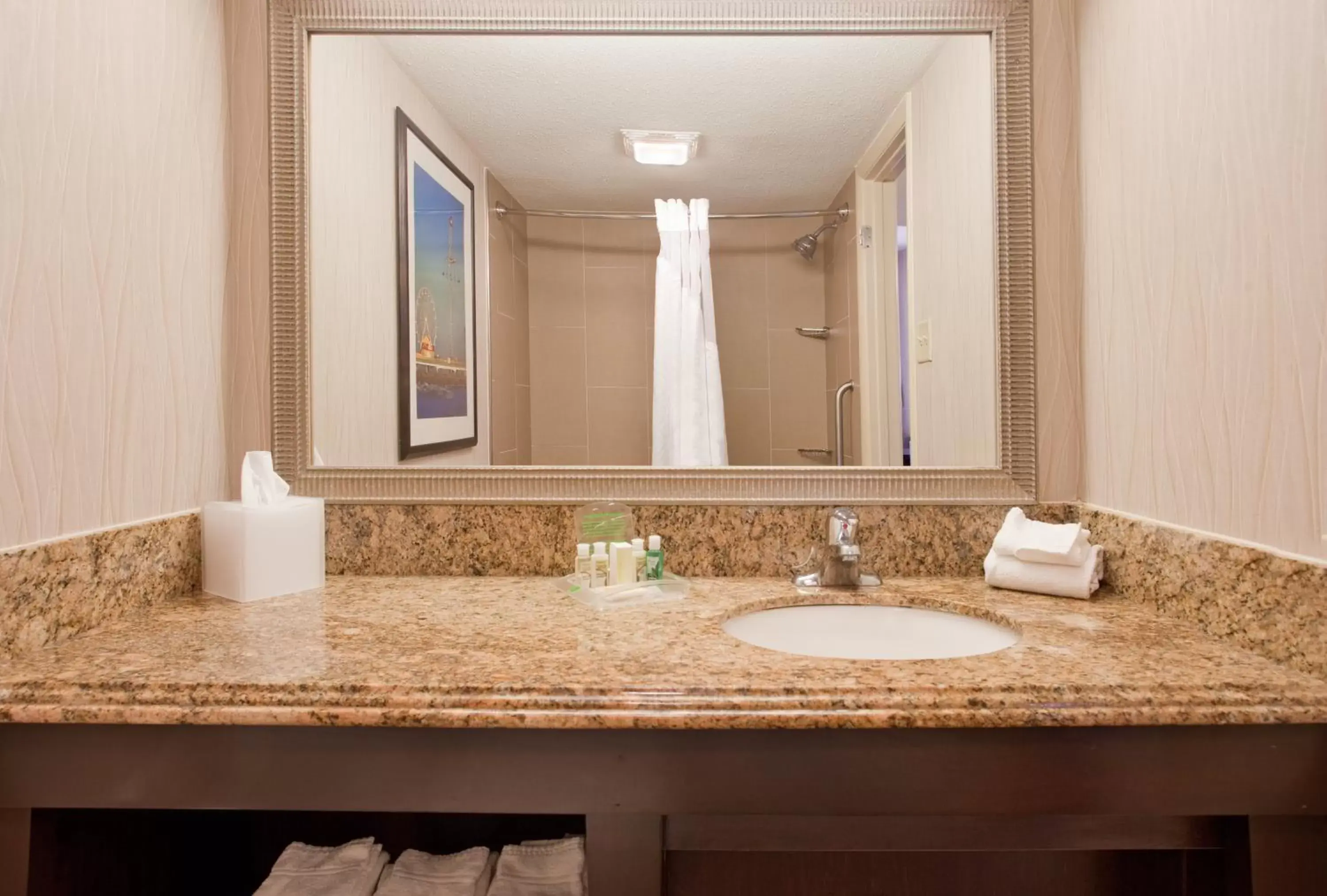 Photo of the whole room, Bathroom in Holiday Inn Resort Galveston - On The Beach, an IHG Hotel
