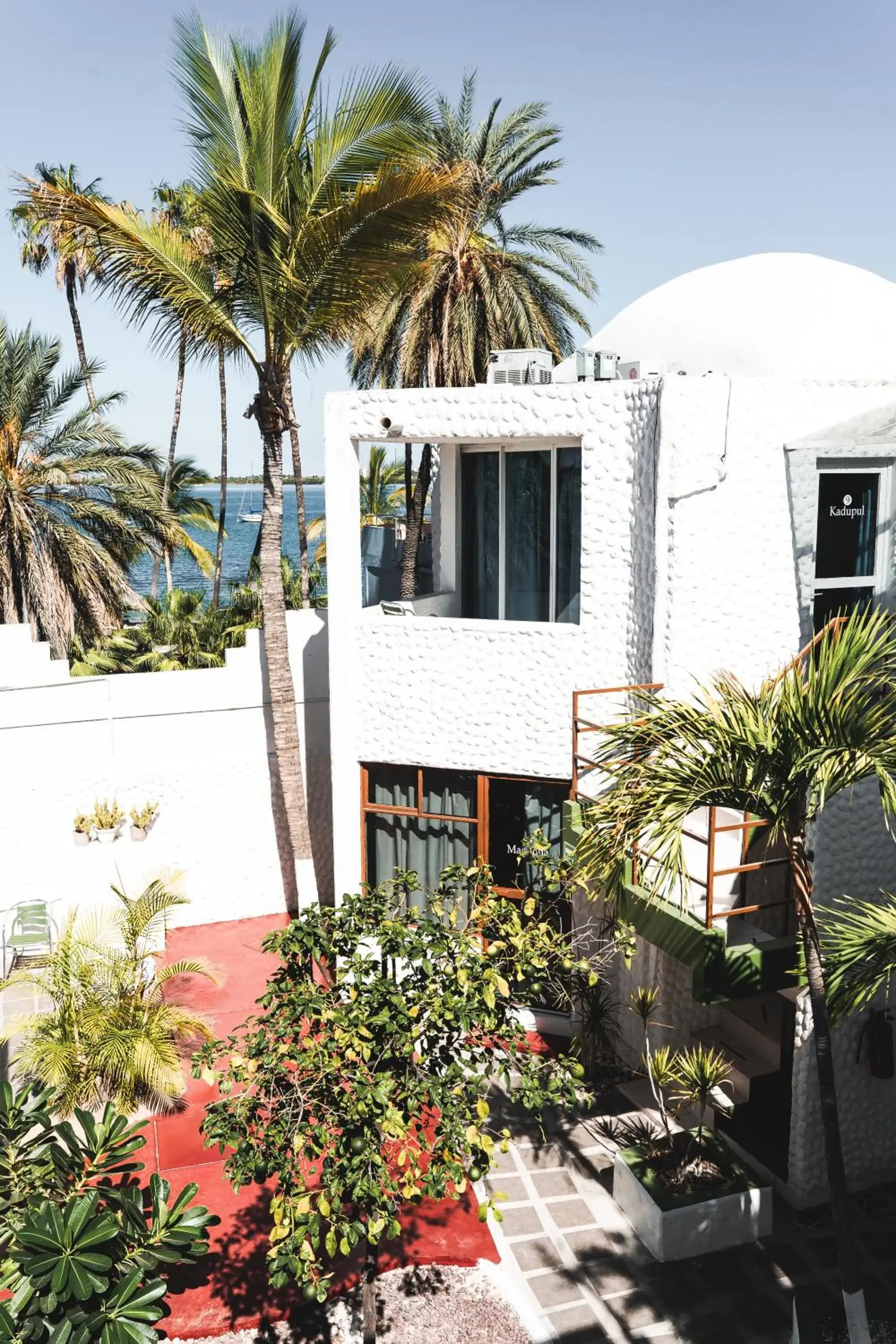 Garden view, Property Building in Hotel Allende