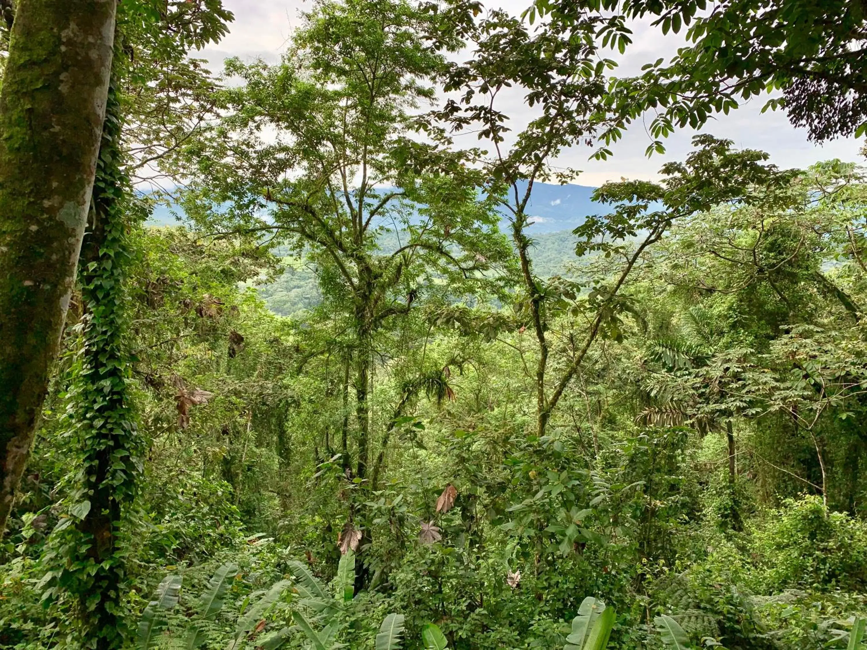 Natural landscape in Sangregado Lodge