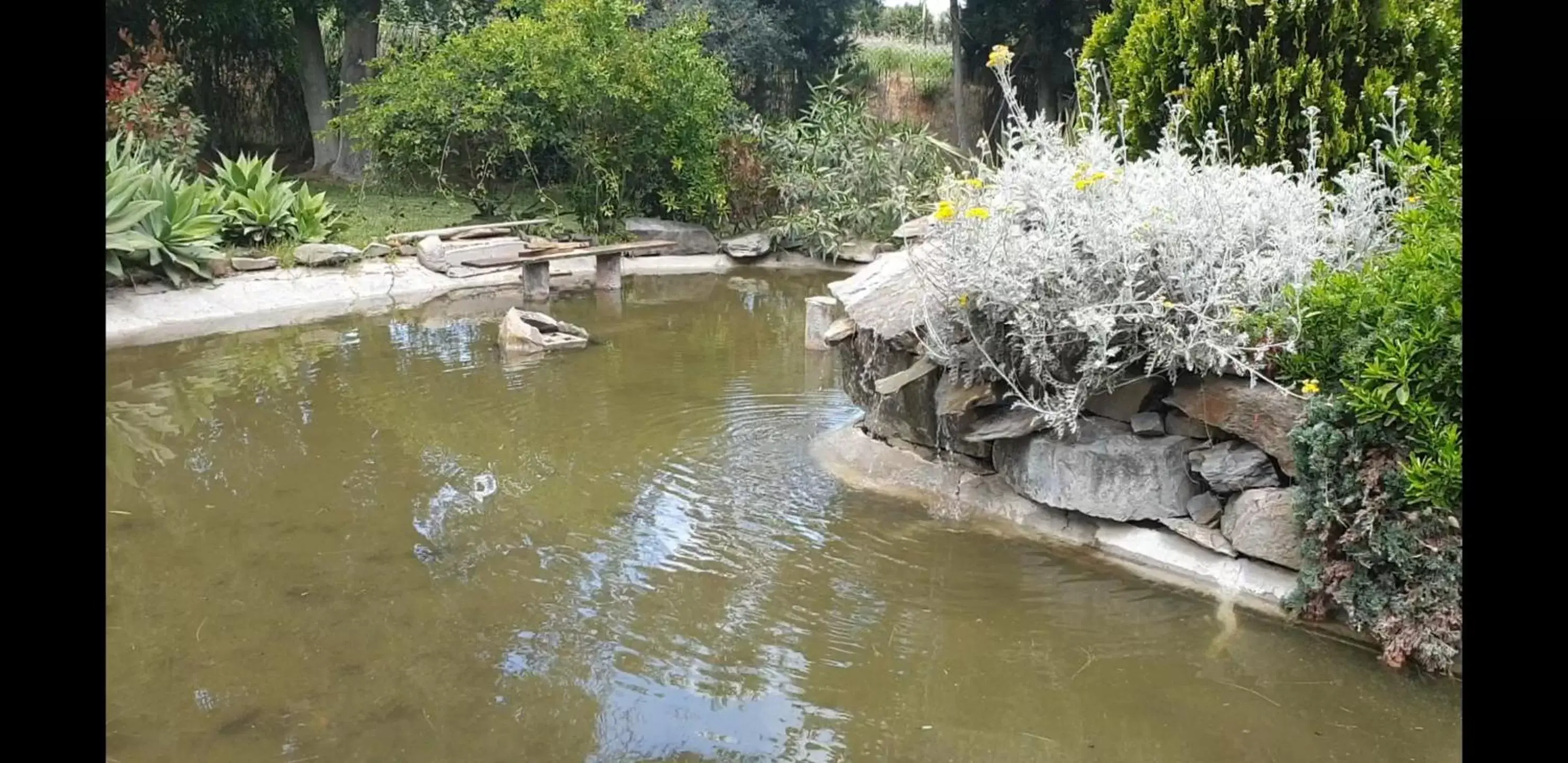 Lake view in La Casa del Torreón