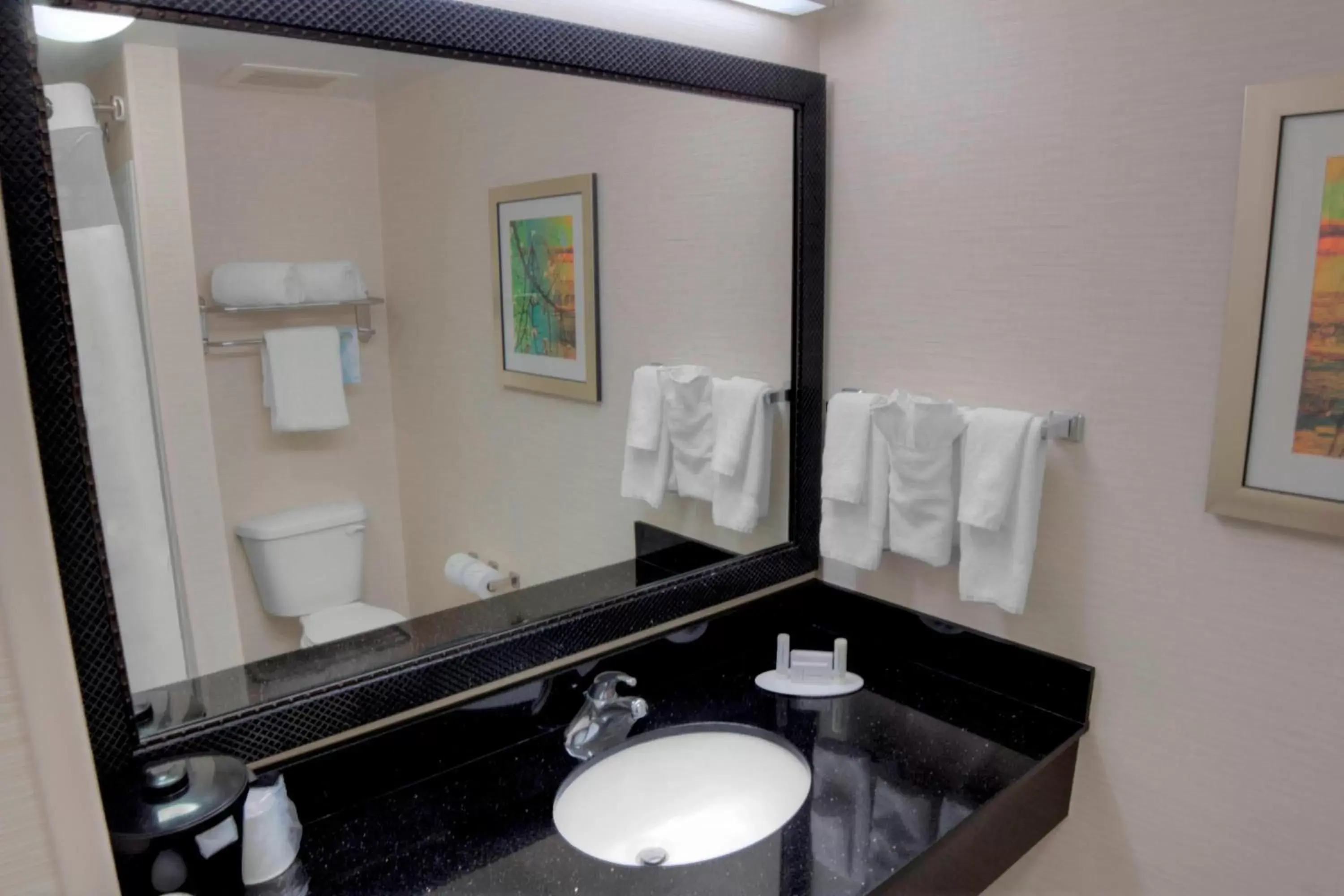 Bathroom in Fairfield Inn & Suites by Marriott Mobile Daphne/Eastern Shore