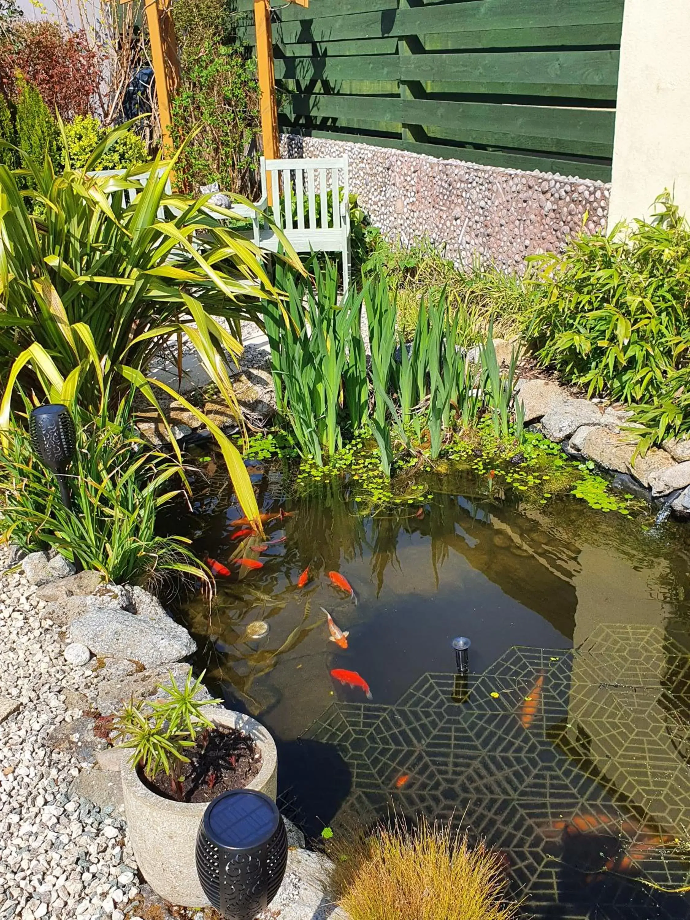 Garden in Eden's Rest Bed and Breakfast