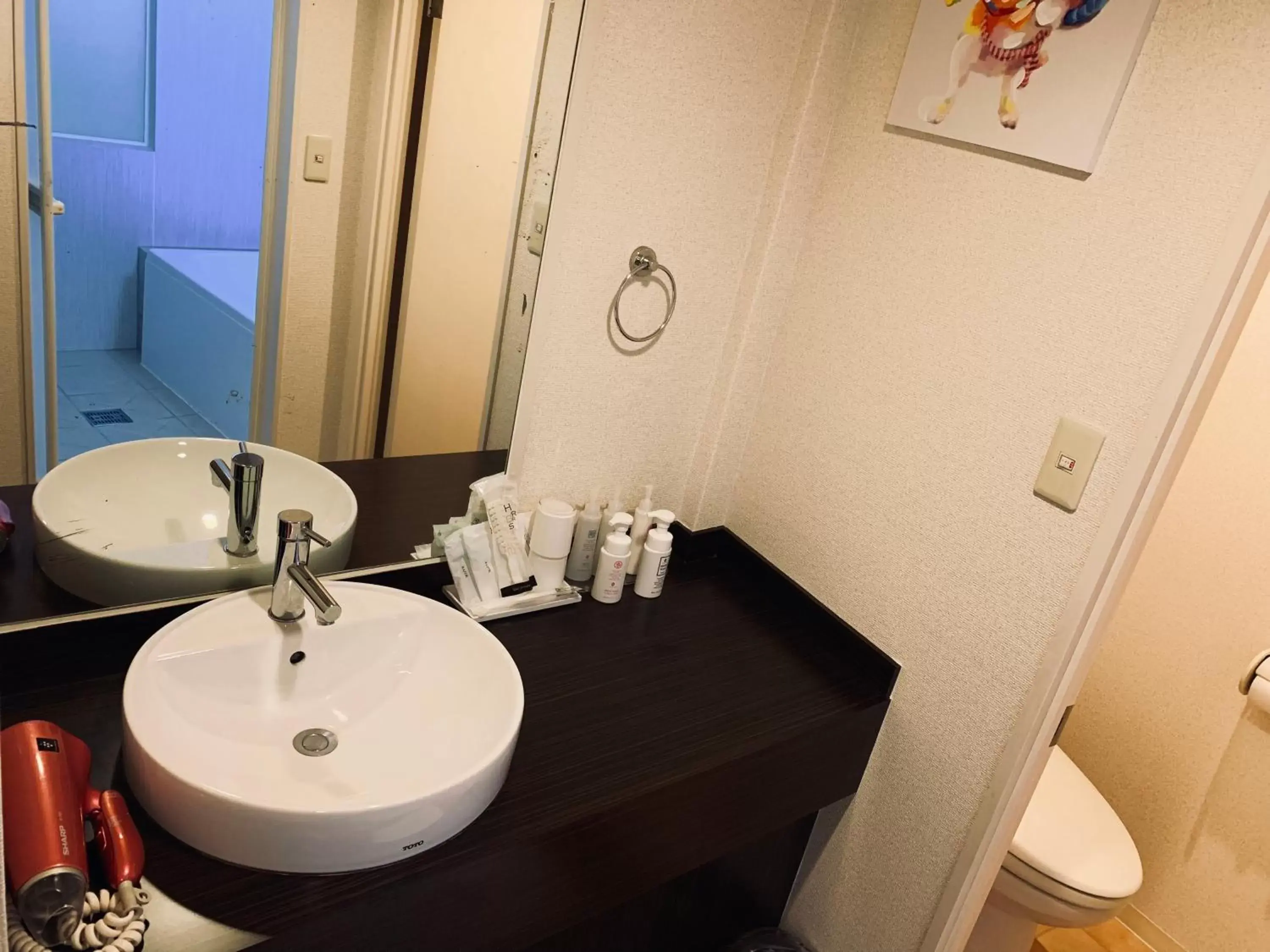 hair dryier, Bathroom in Hotel TRW