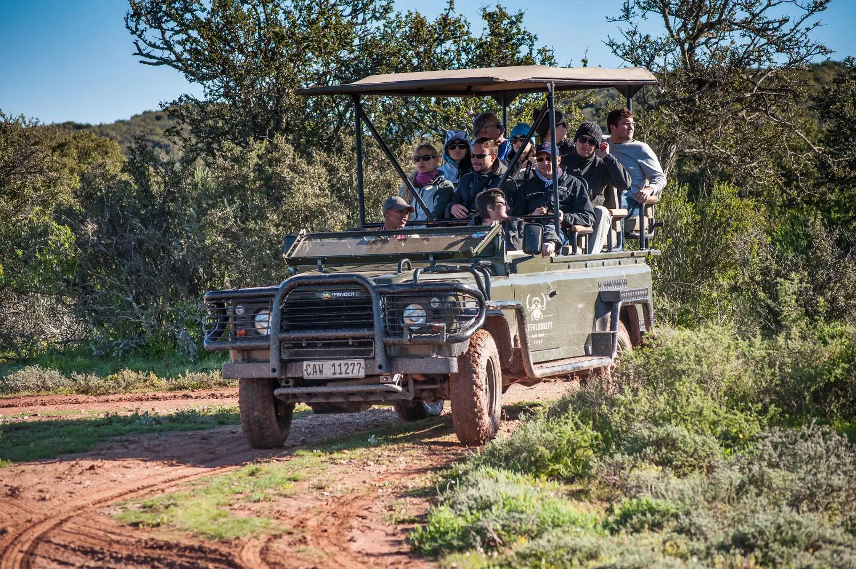 Area and facilities in Buffelsdrift Game Lodge