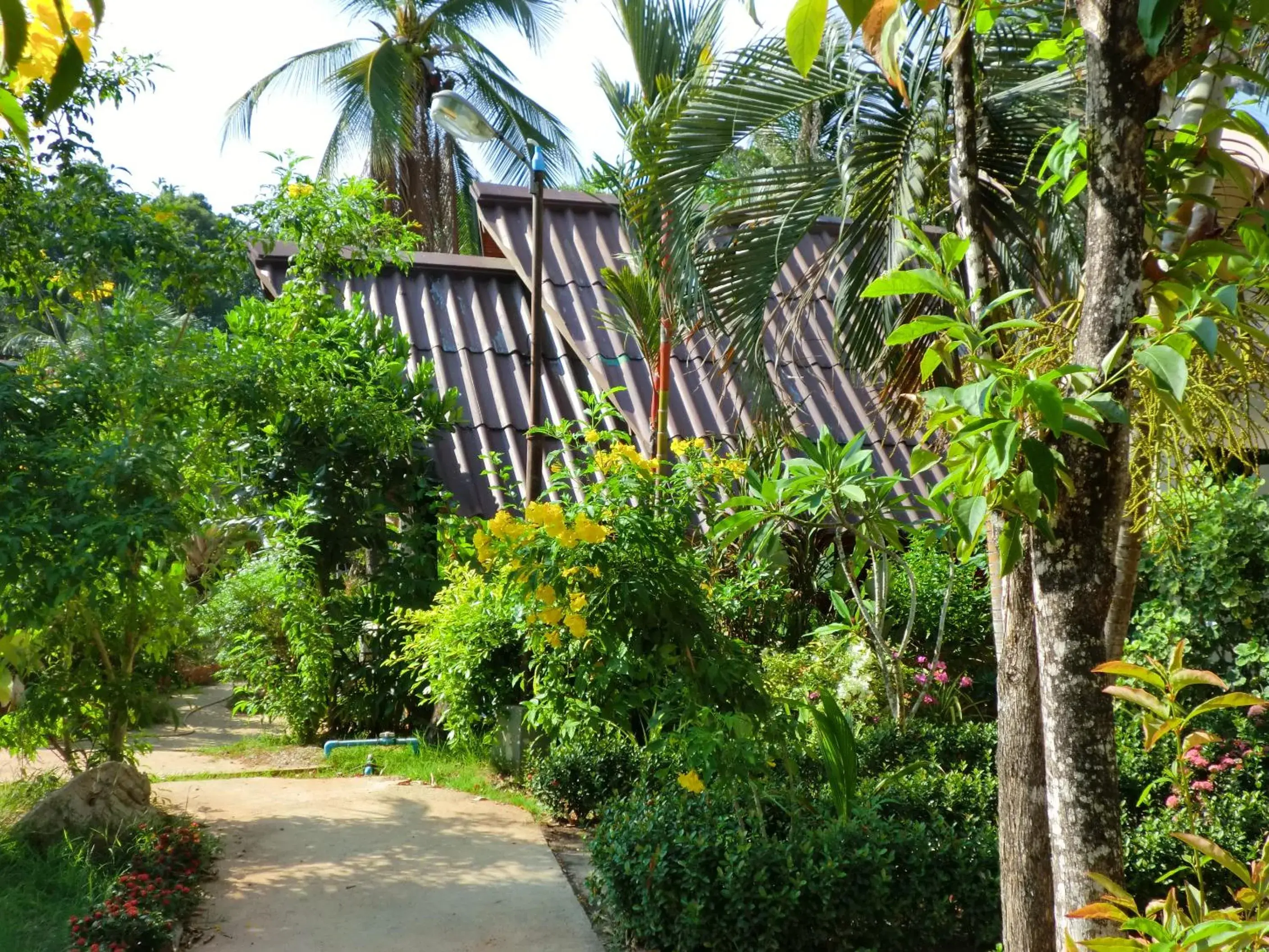 Garden in The Krabi Forest Homestay