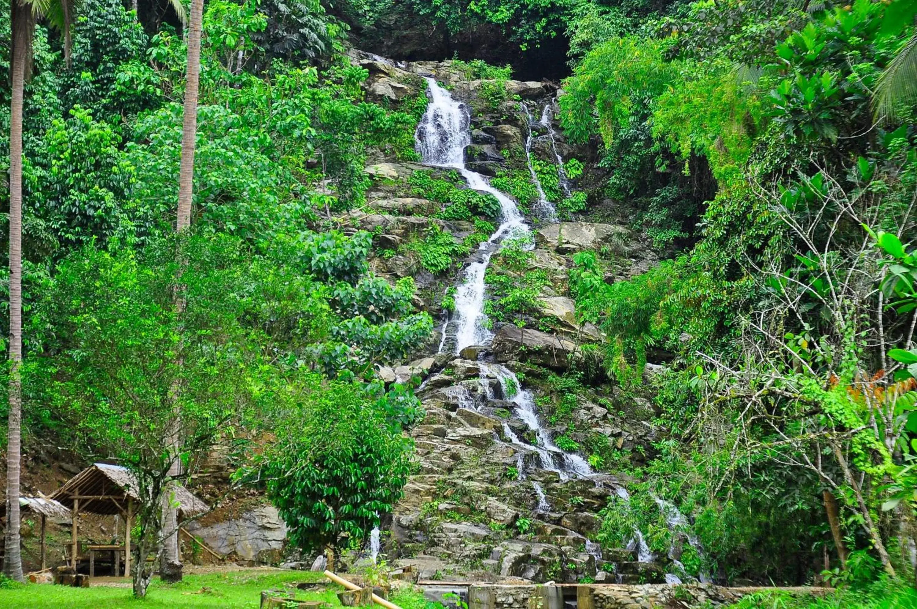 Natural Landscape in Badladz Beach and Dive Resort