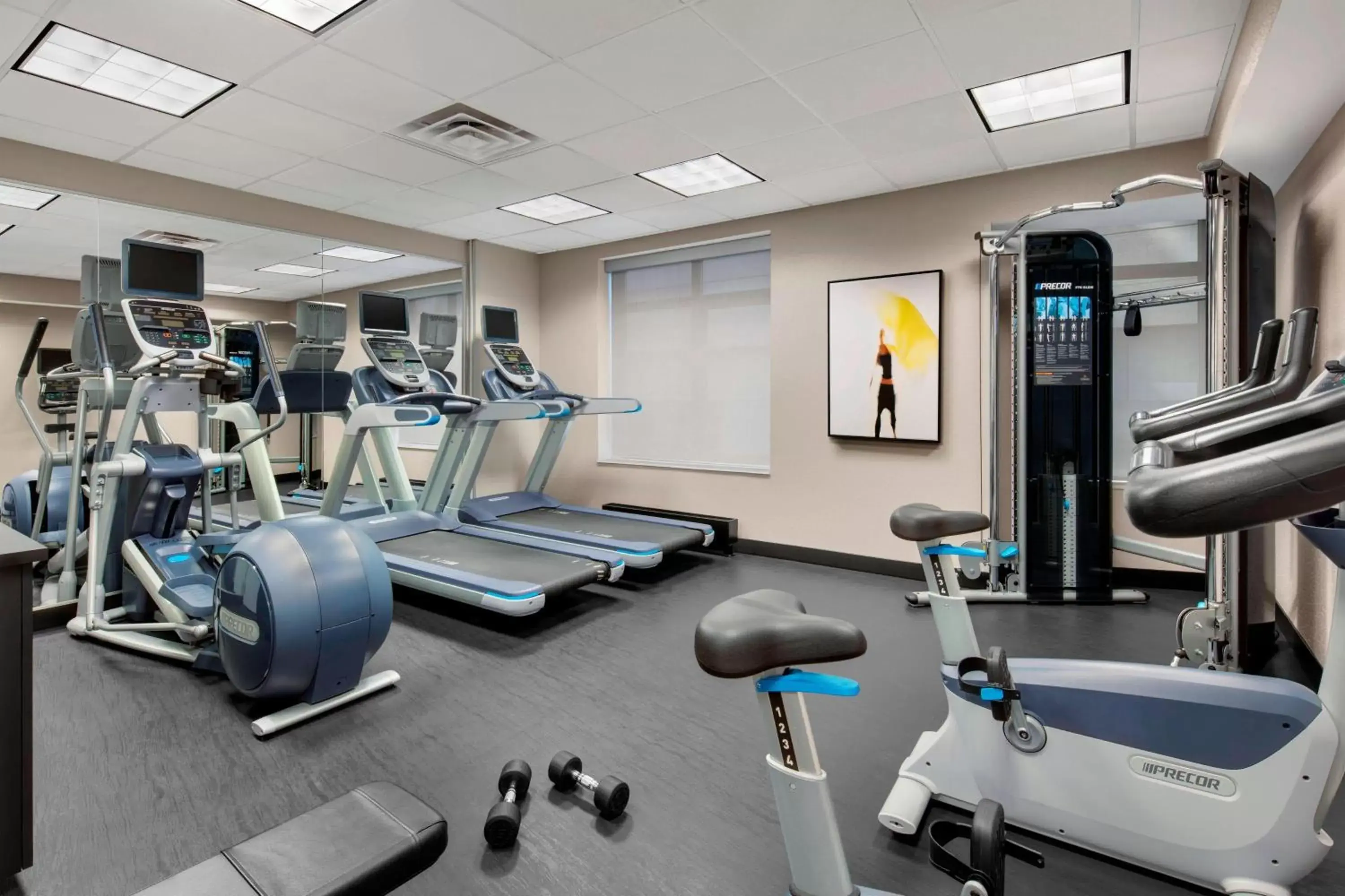 Fitness centre/facilities, Fitness Center/Facilities in Fairfield Inn and Suites Chicago Downtown/ Magnificent Mile