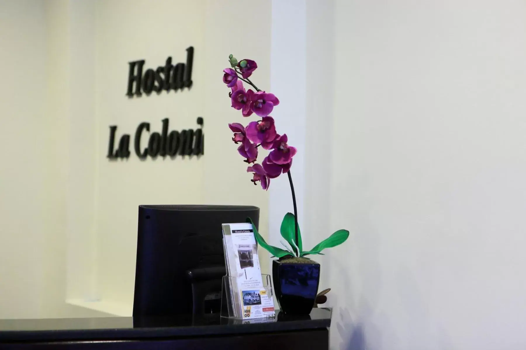 Lobby or reception, TV/Entertainment Center in Hotel La Colonia