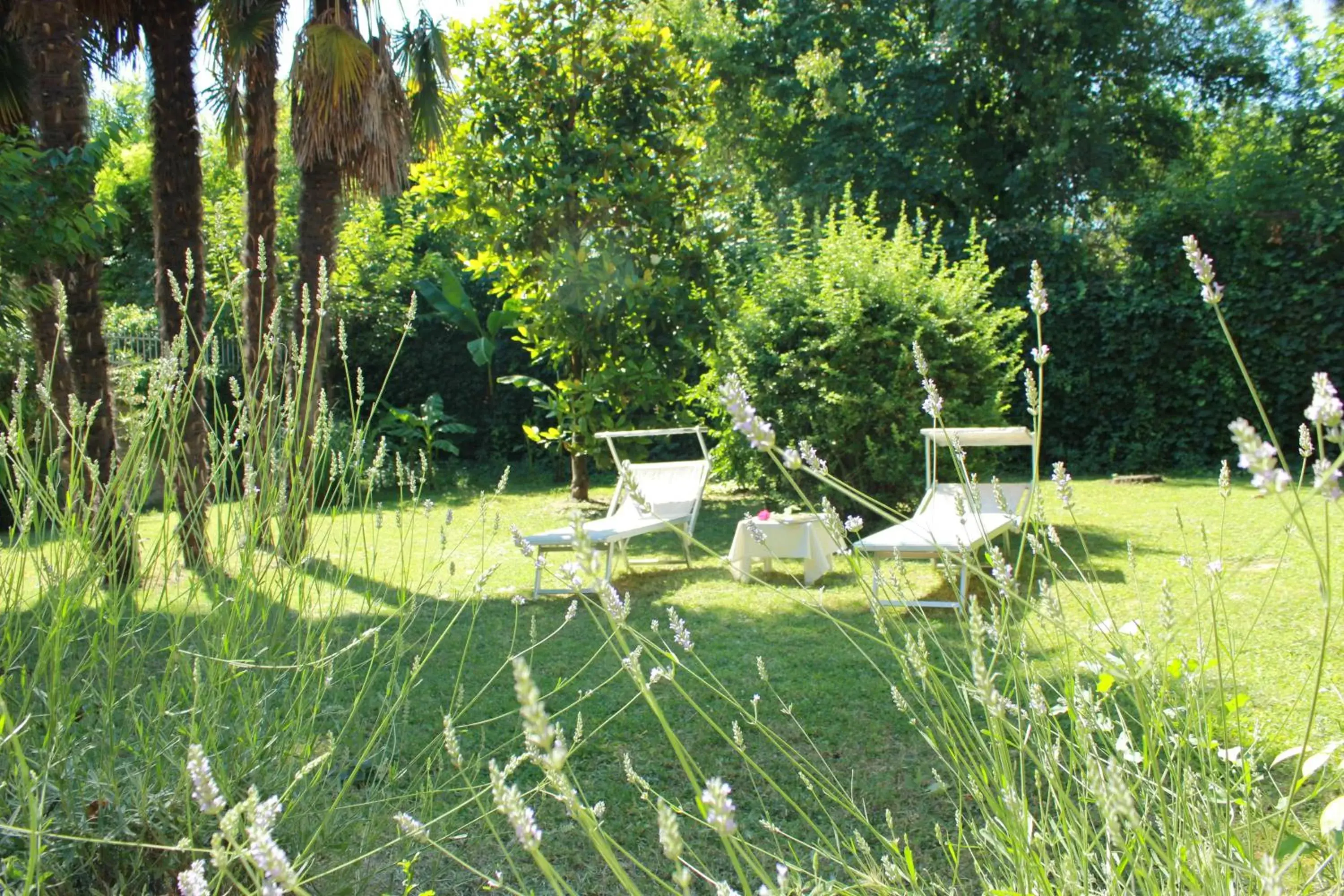 Garden view in Ai Giardini di San Vitale