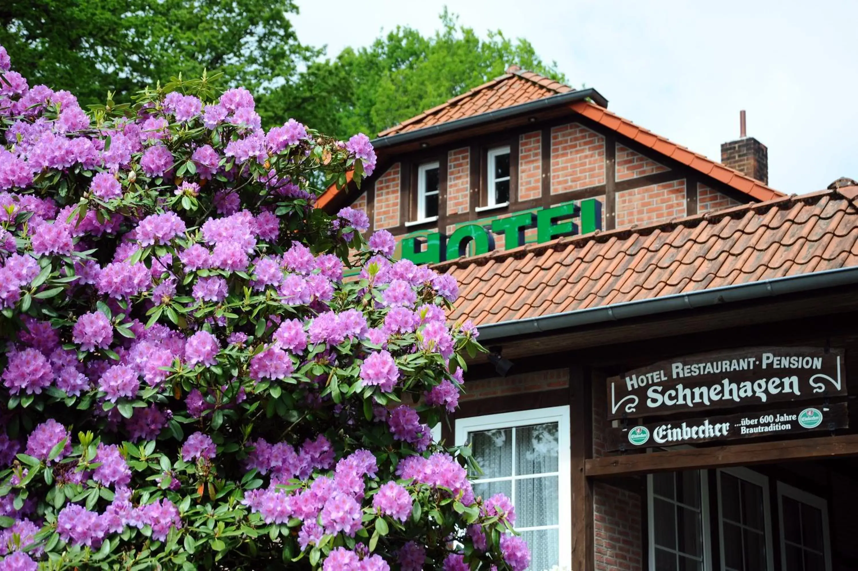 Facade/entrance, Property Building in Hotel Schnehagen