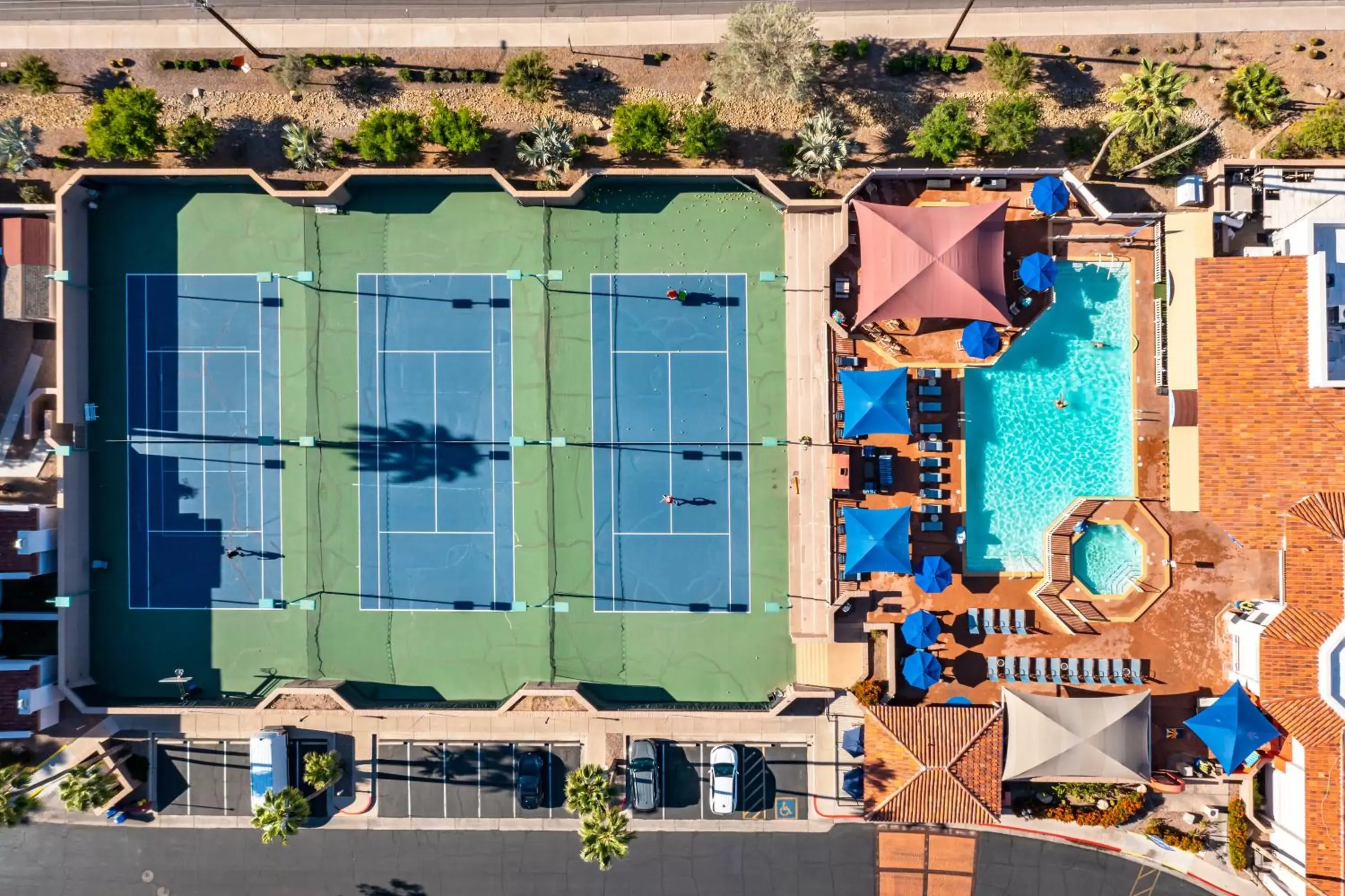 Activities, Pool View in Scottsdale Camelback Resort