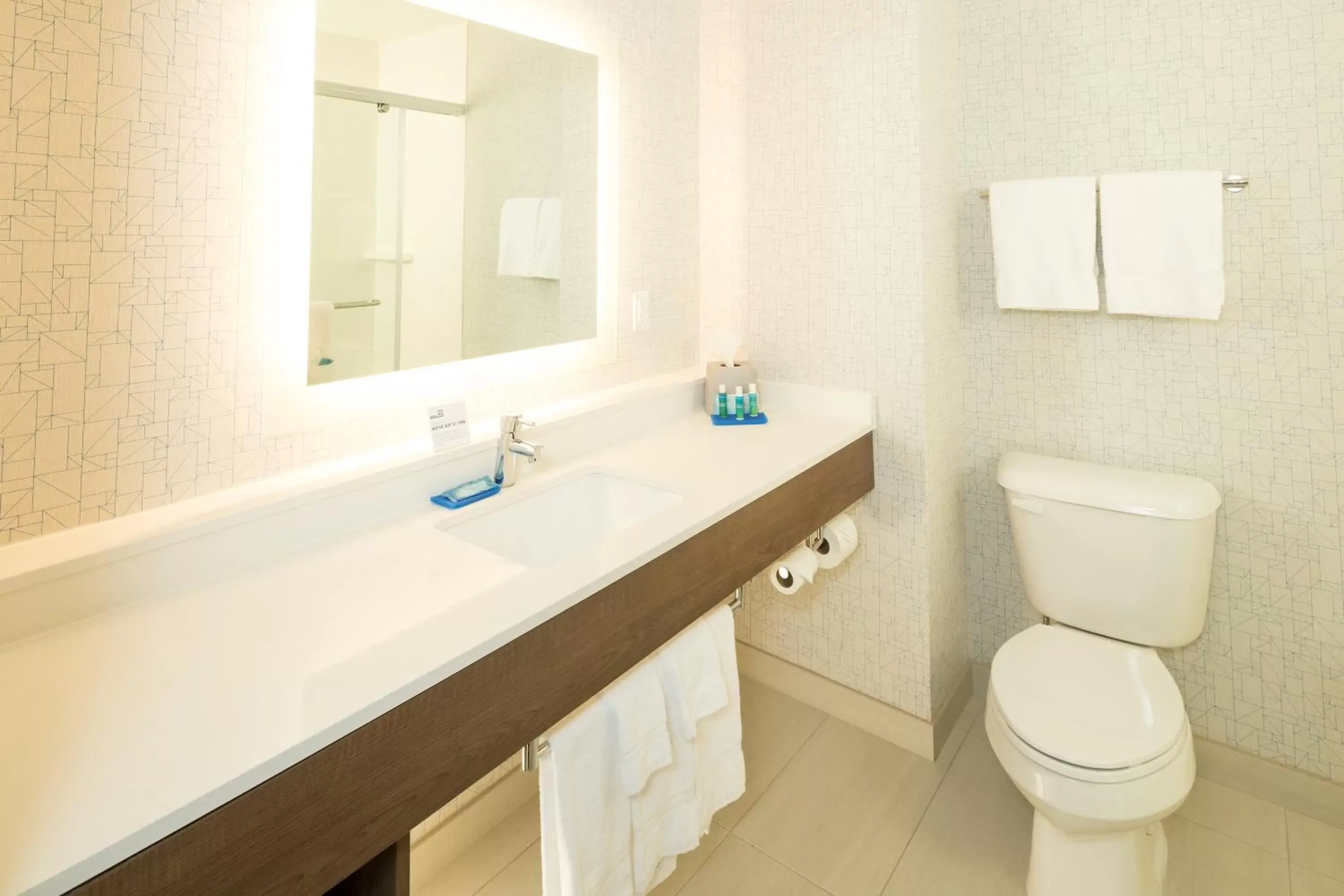 Photo of the whole room, Bathroom in Holiday Inn Express Hotel & Suites Bay City, an IHG Hotel