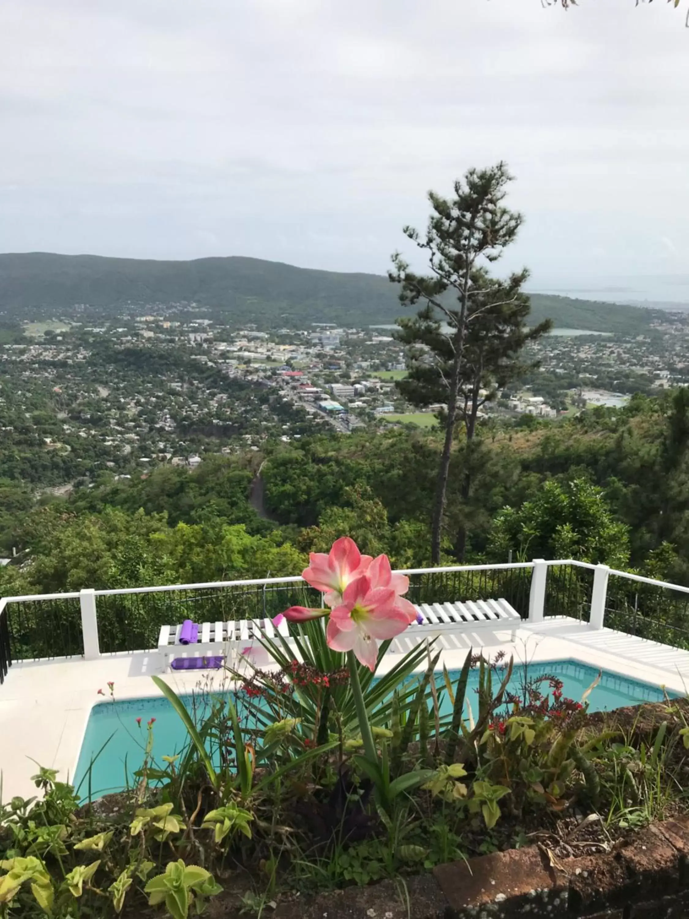 Natural landscape, Pool View in Tranquility Estate