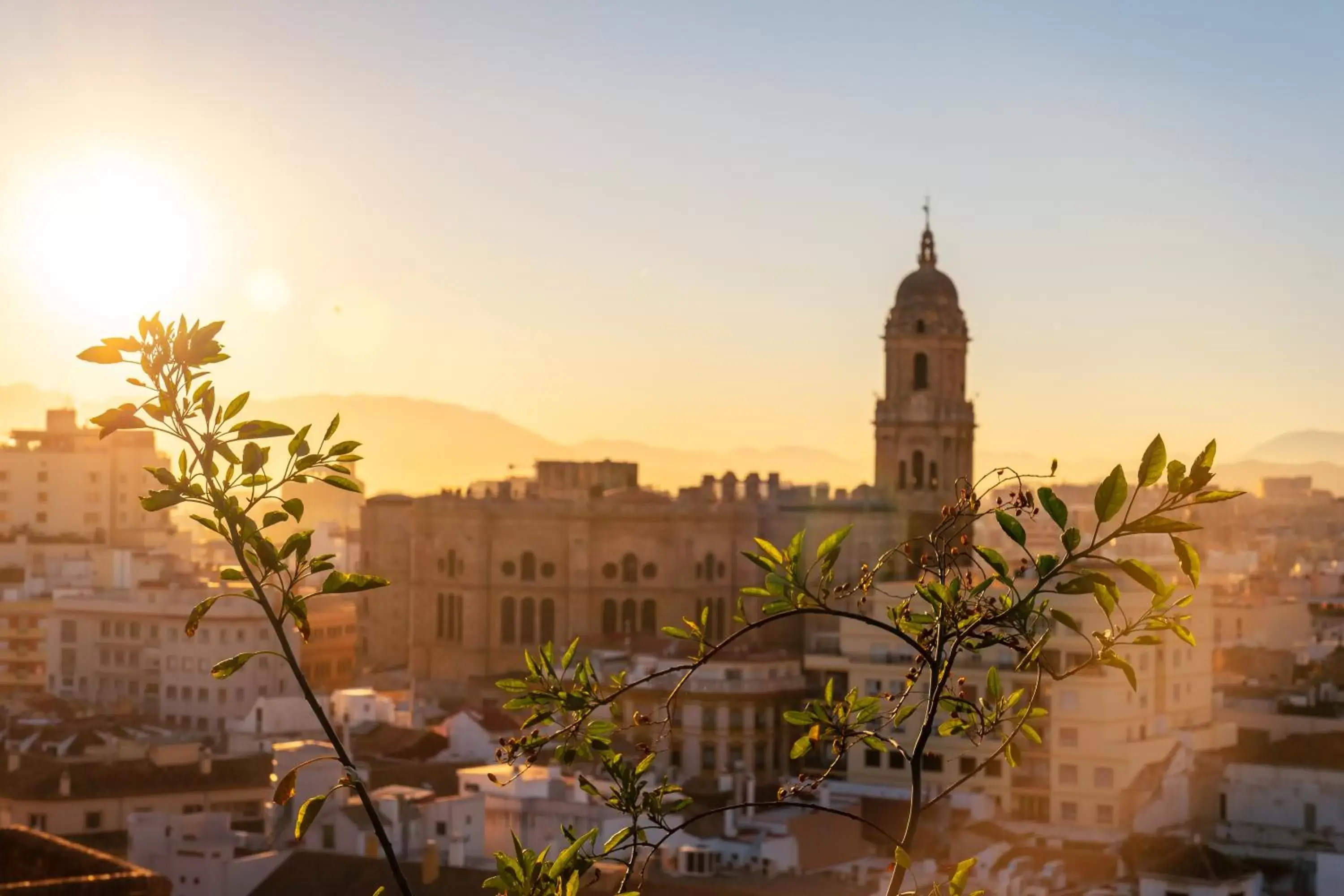 City view in Vincci Larios Diez