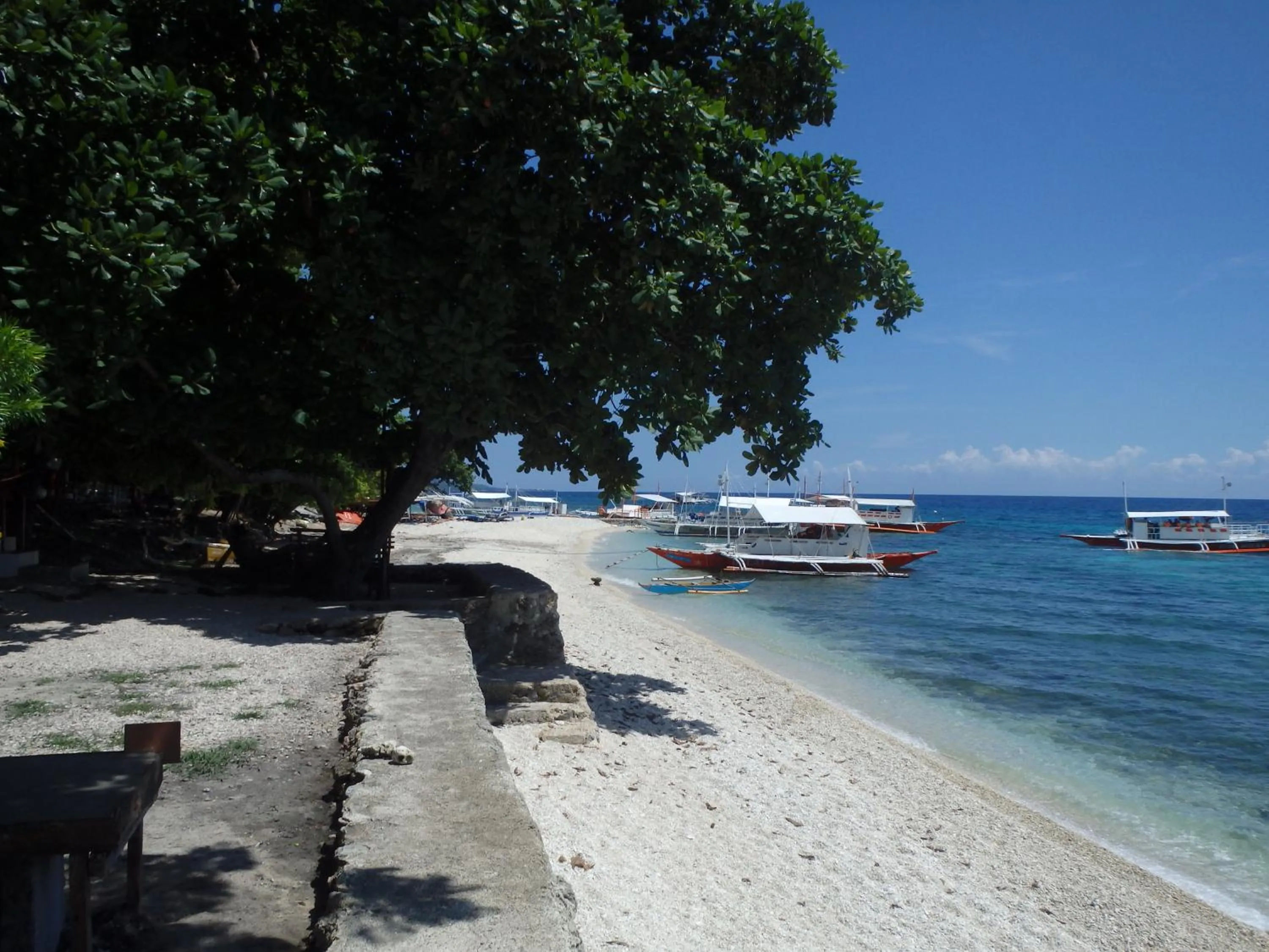 Natural landscape in Island Front - Bangcogon Resort and Restaurant