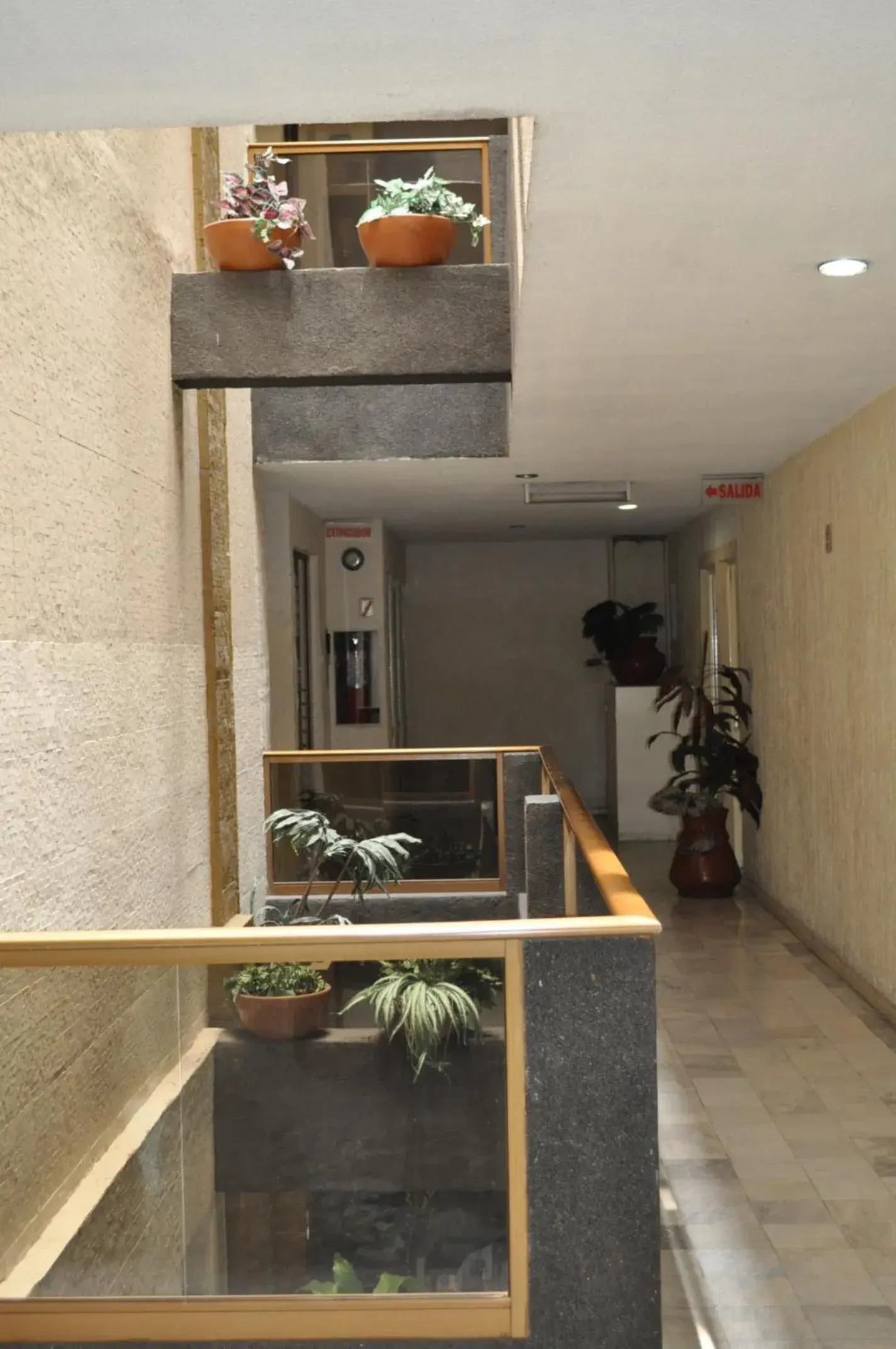 Area and facilities in Hotel Flamingo Kristal
