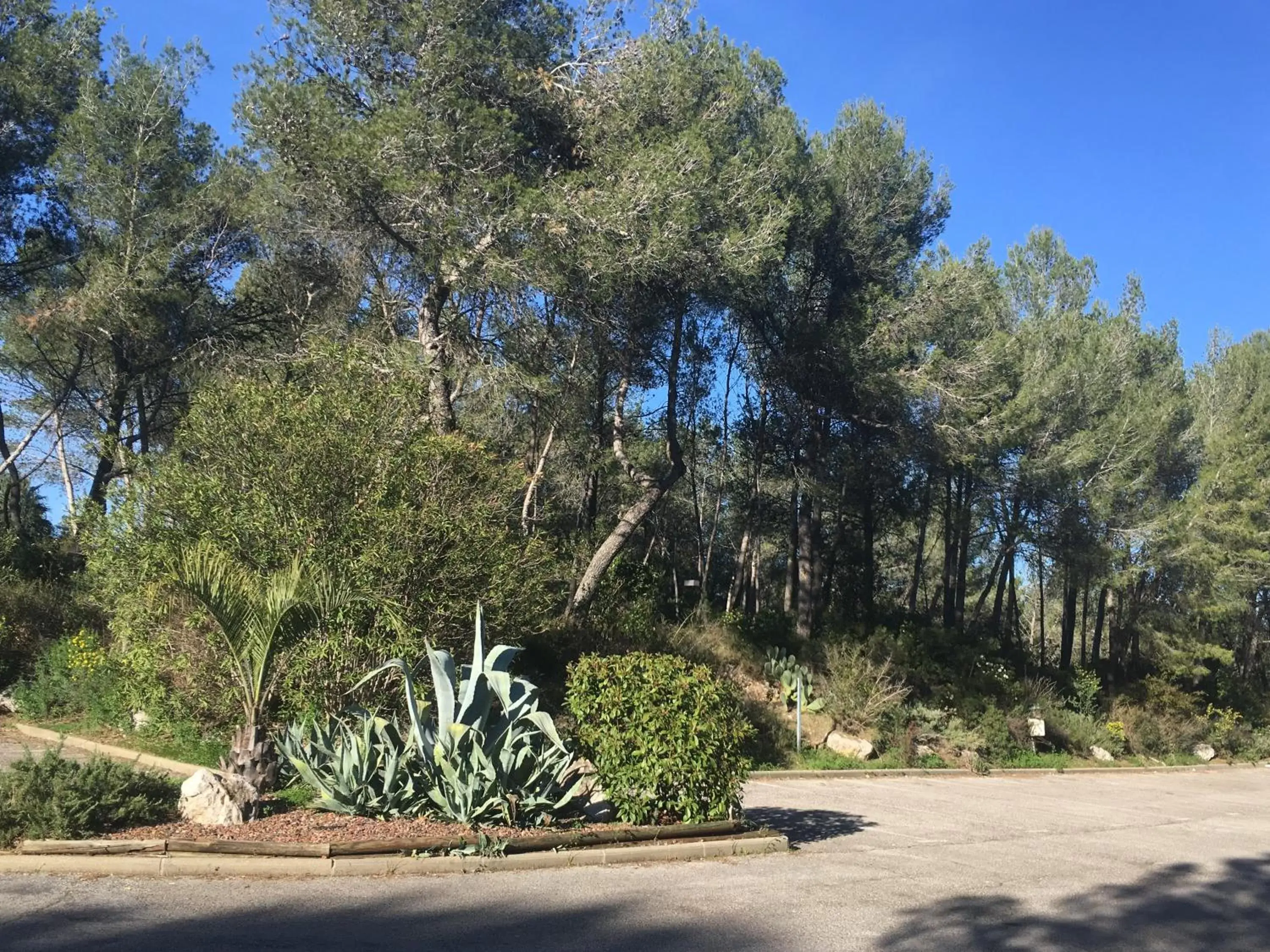 Natural landscape, Garden in Kyriad Montpellier Nord Parc Euromédecine