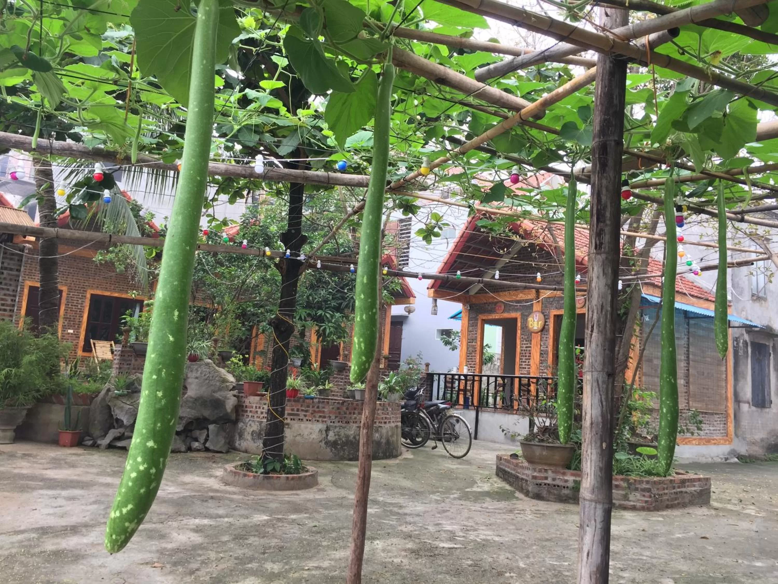 Day in Tam Coc Vinh Thinh Homestay