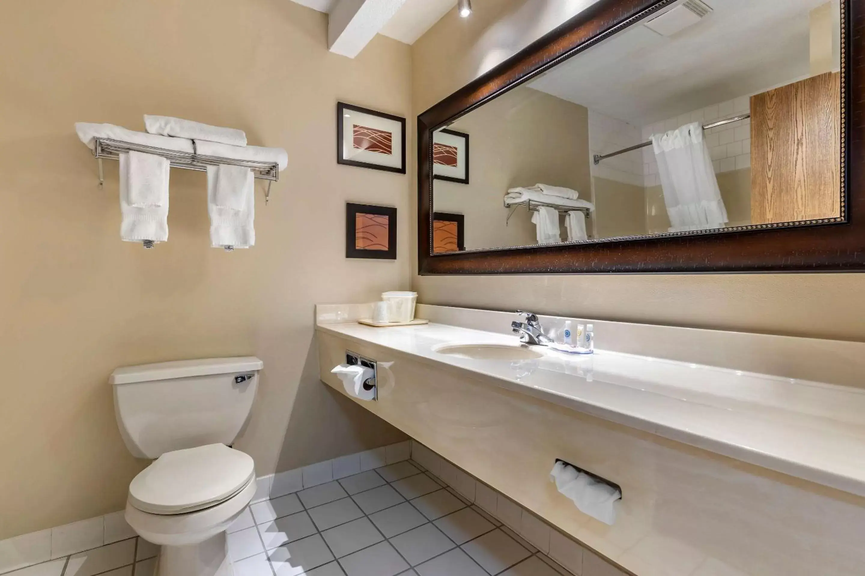 Bathroom in Comfort Inn Muscatine near Hwy 61
