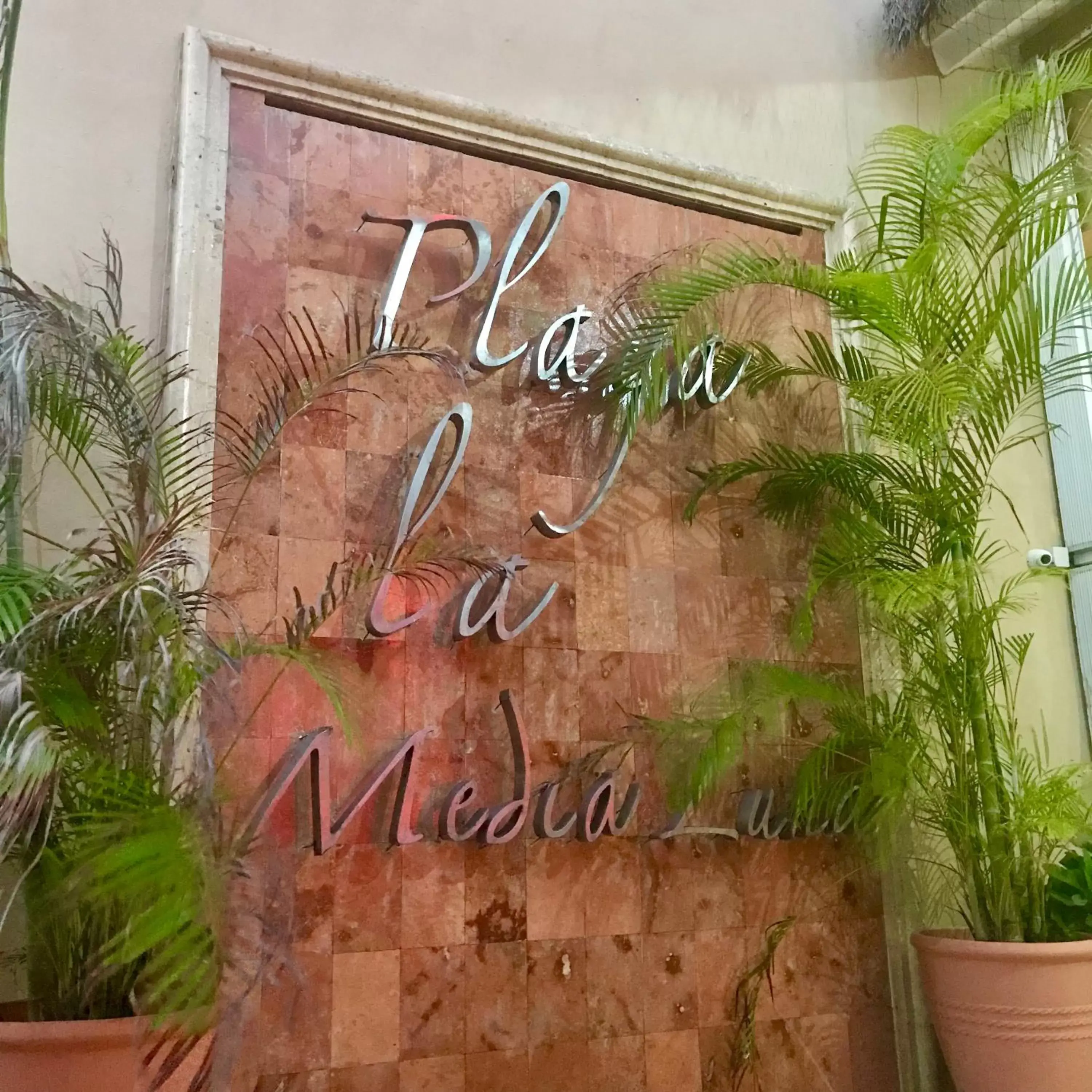 Facade/entrance, Property Logo/Sign in Hotel Playa La Media Luna