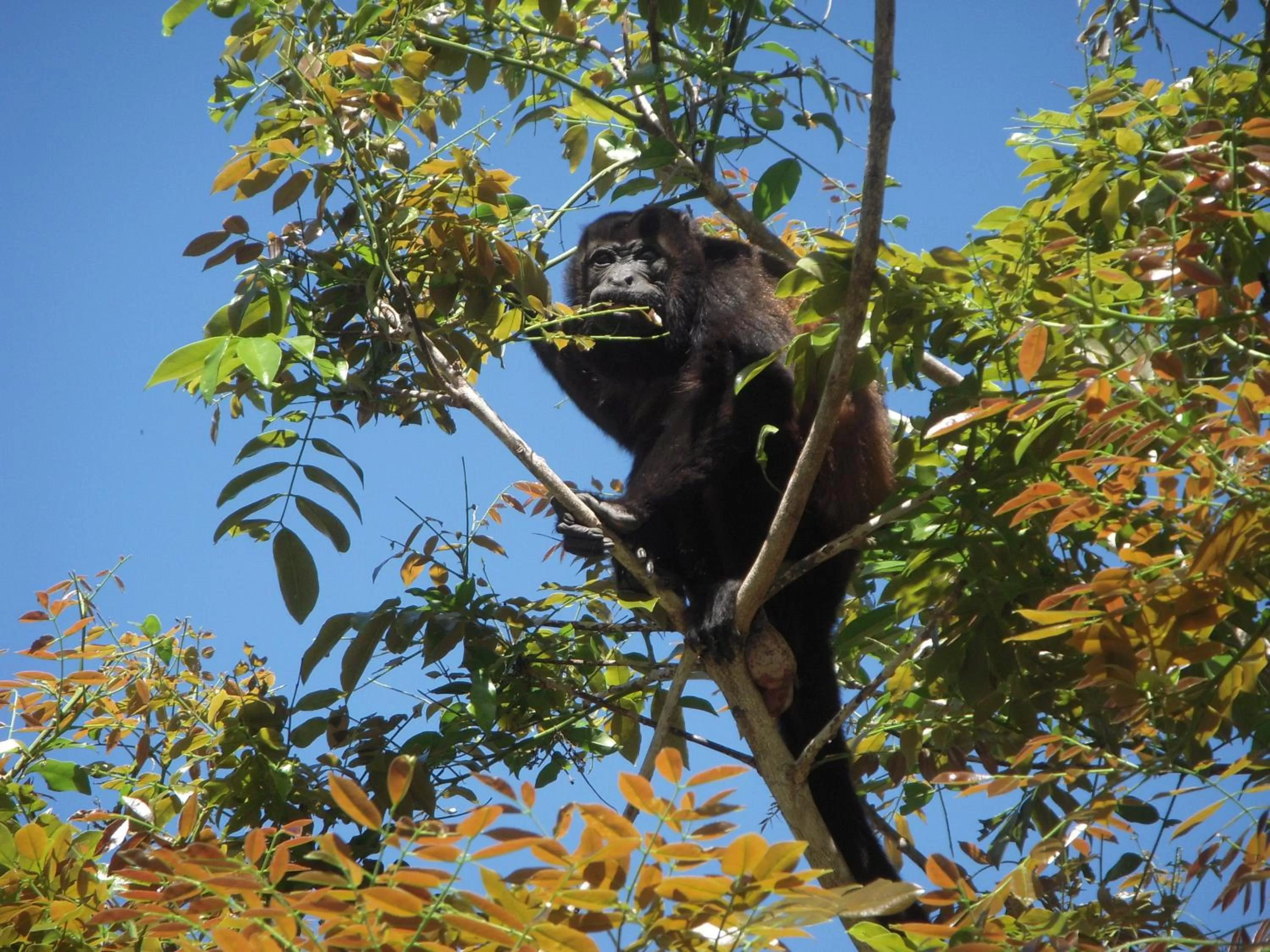 View (from property/room) in Hotel Arco Iris