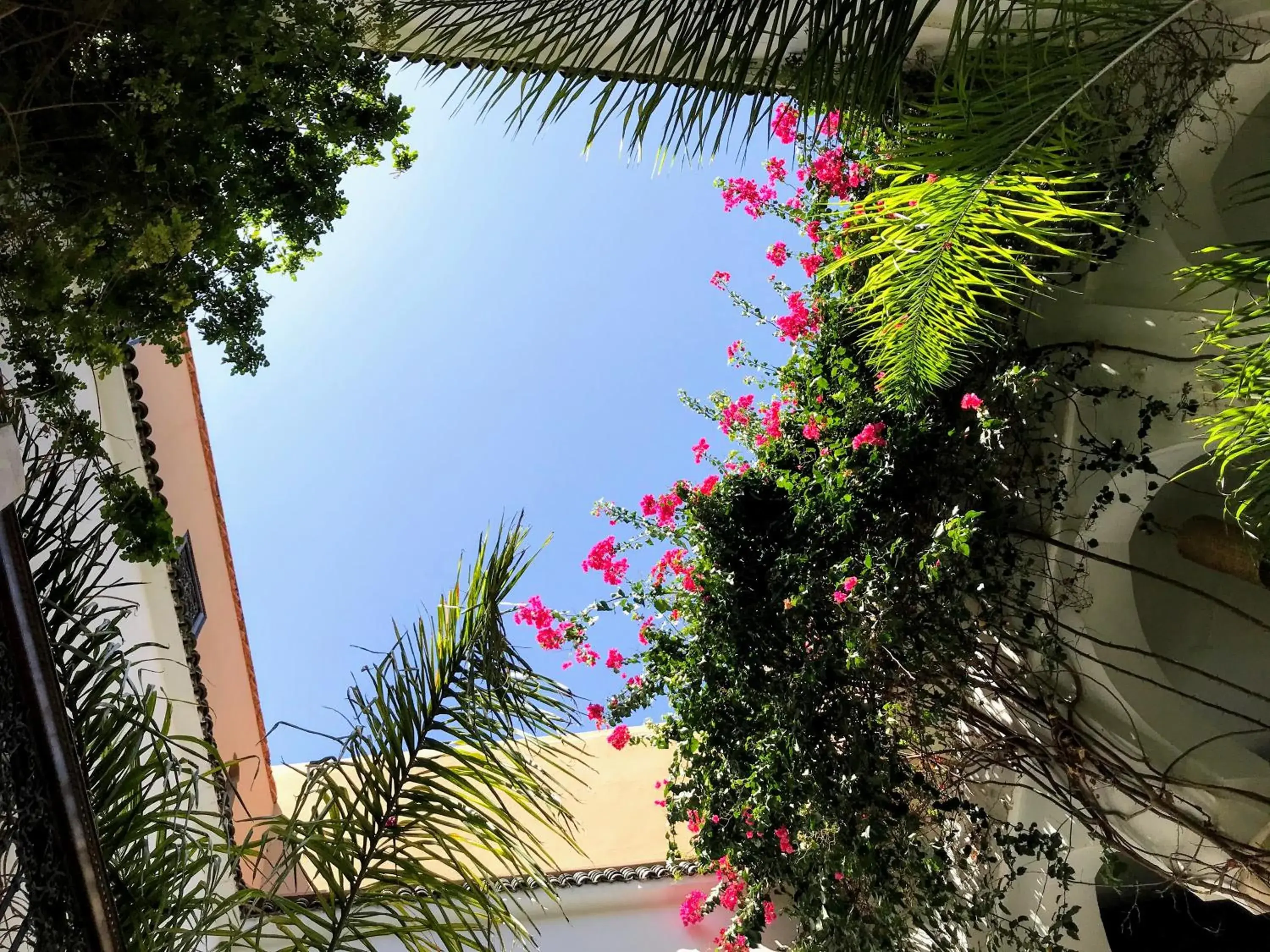 Patio, Beach in Riad Dar Zaman