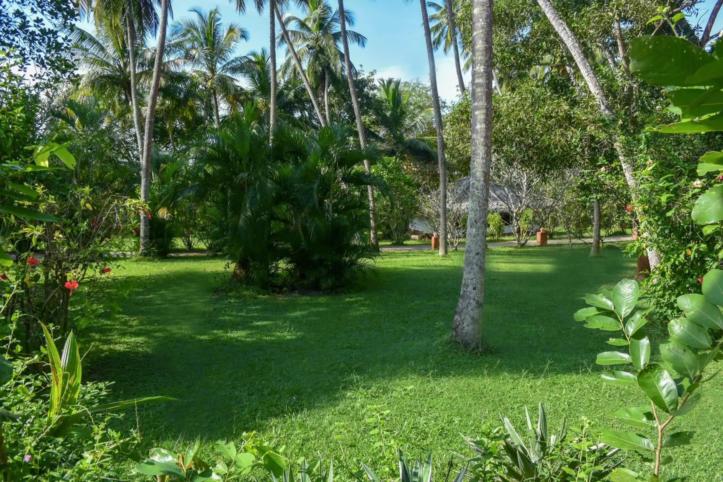 Garden view, Garden in Eva Lanka Hotel - Beach & Wellness