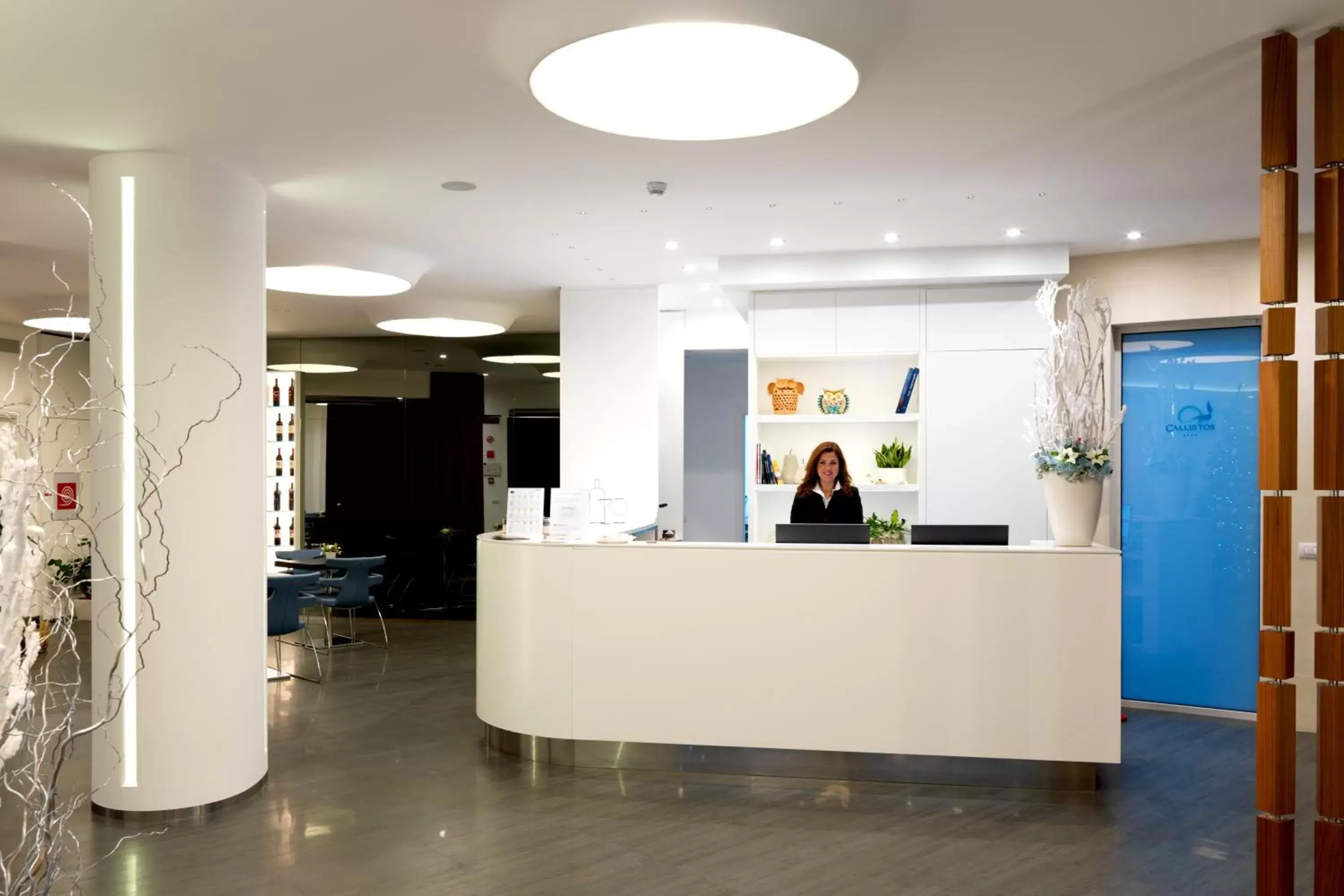 Lobby or reception, Lobby/Reception in Callistos Hotel & Spa