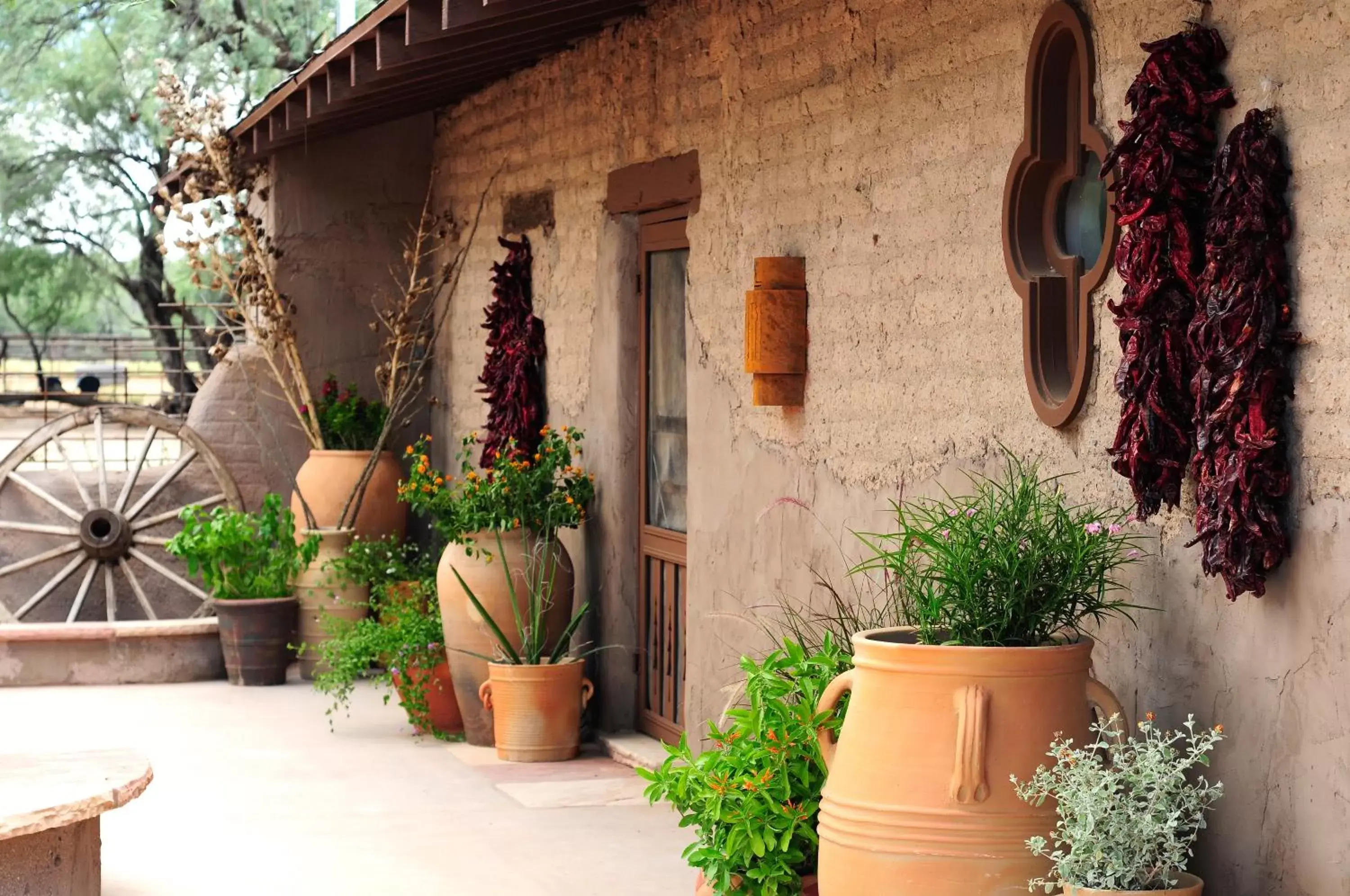 Facade/entrance in Kay El Bar Guest Ranch