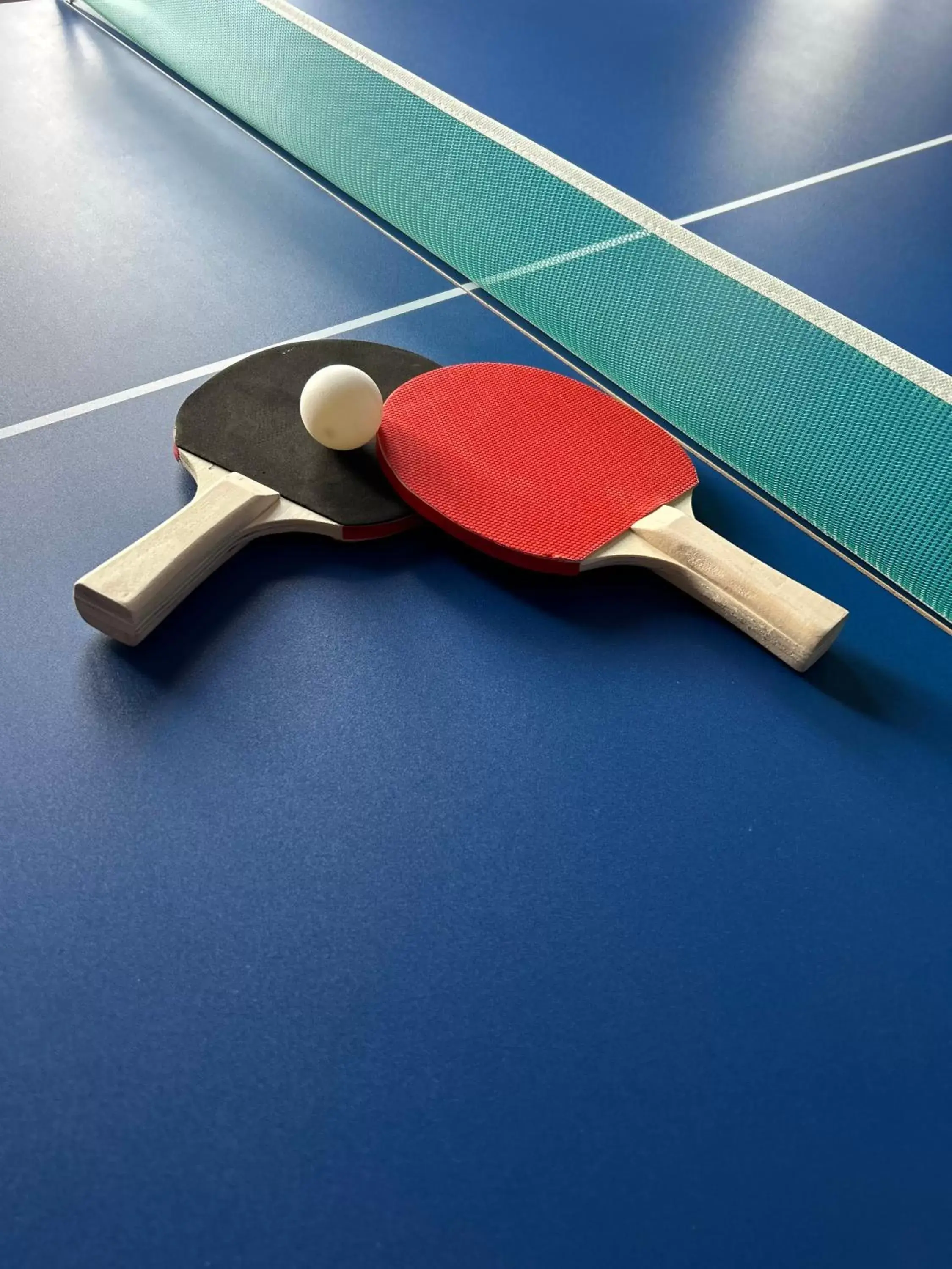 Table Tennis in Skycity B&B