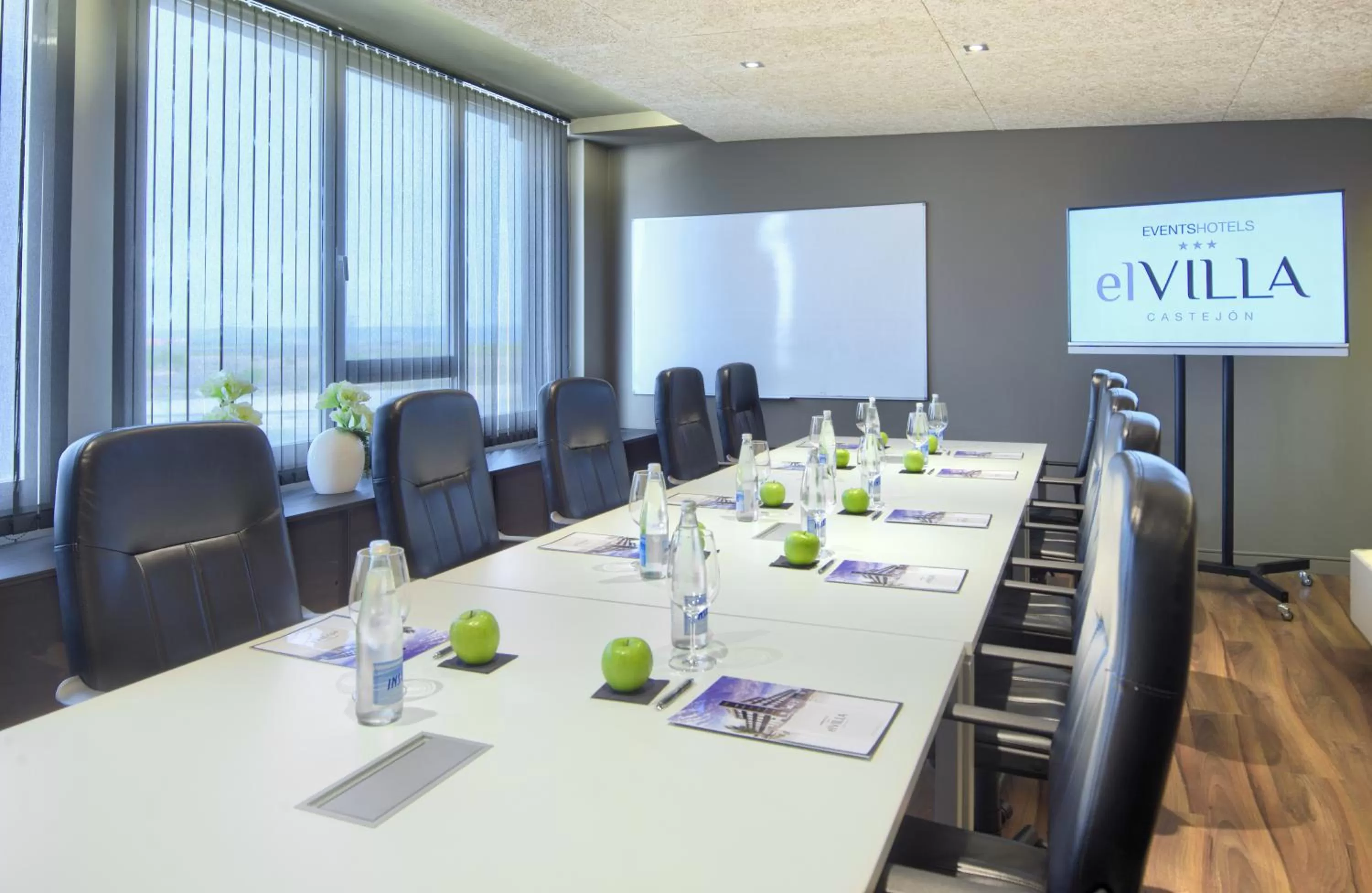 Business facilities in Hotel Luze El Villa