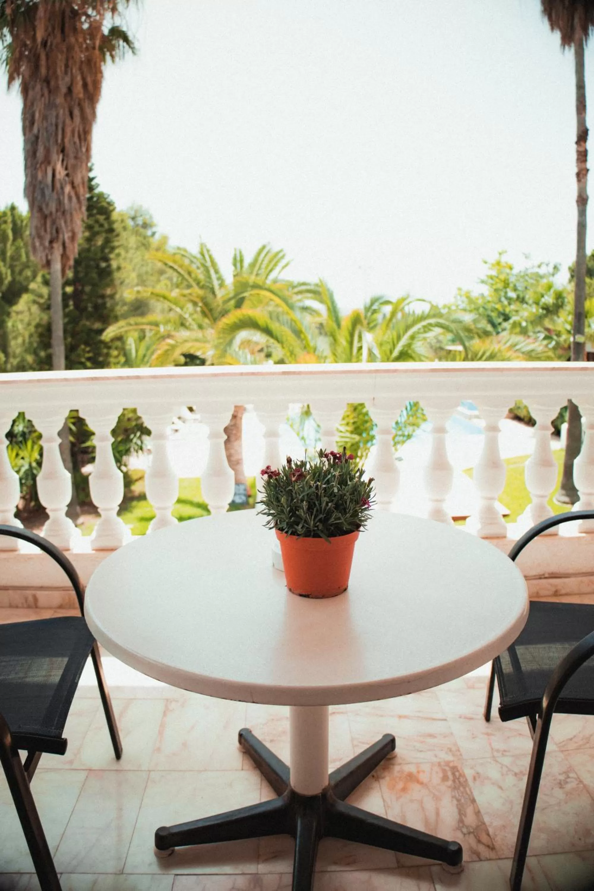 Balcony/Terrace in Villa Olympia