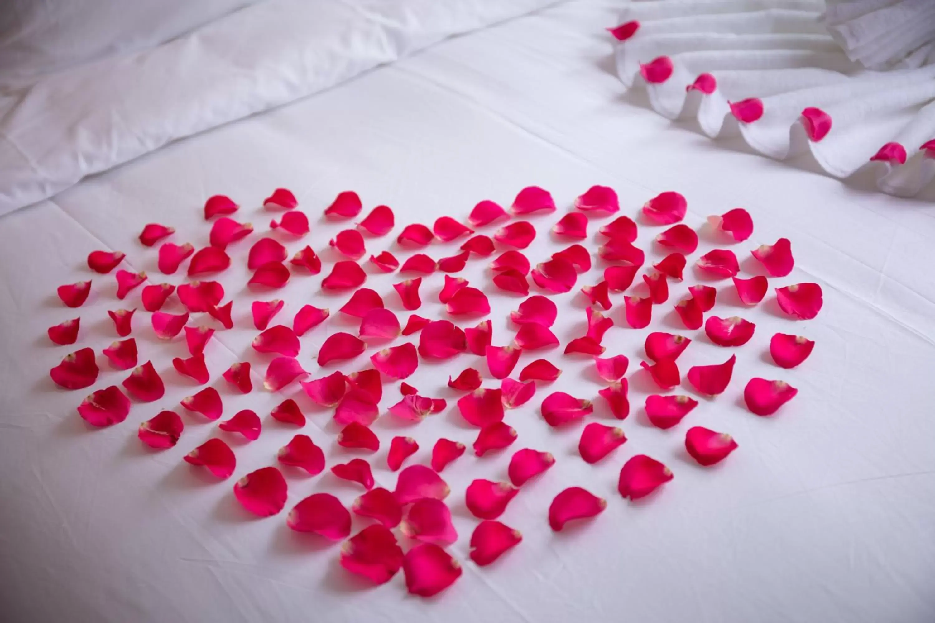 Decorative detail, Bed in Hanoi Center Silk Hotel & Travel Decorative detail, Bed in Hanoi Center Silk Hotel & Travel