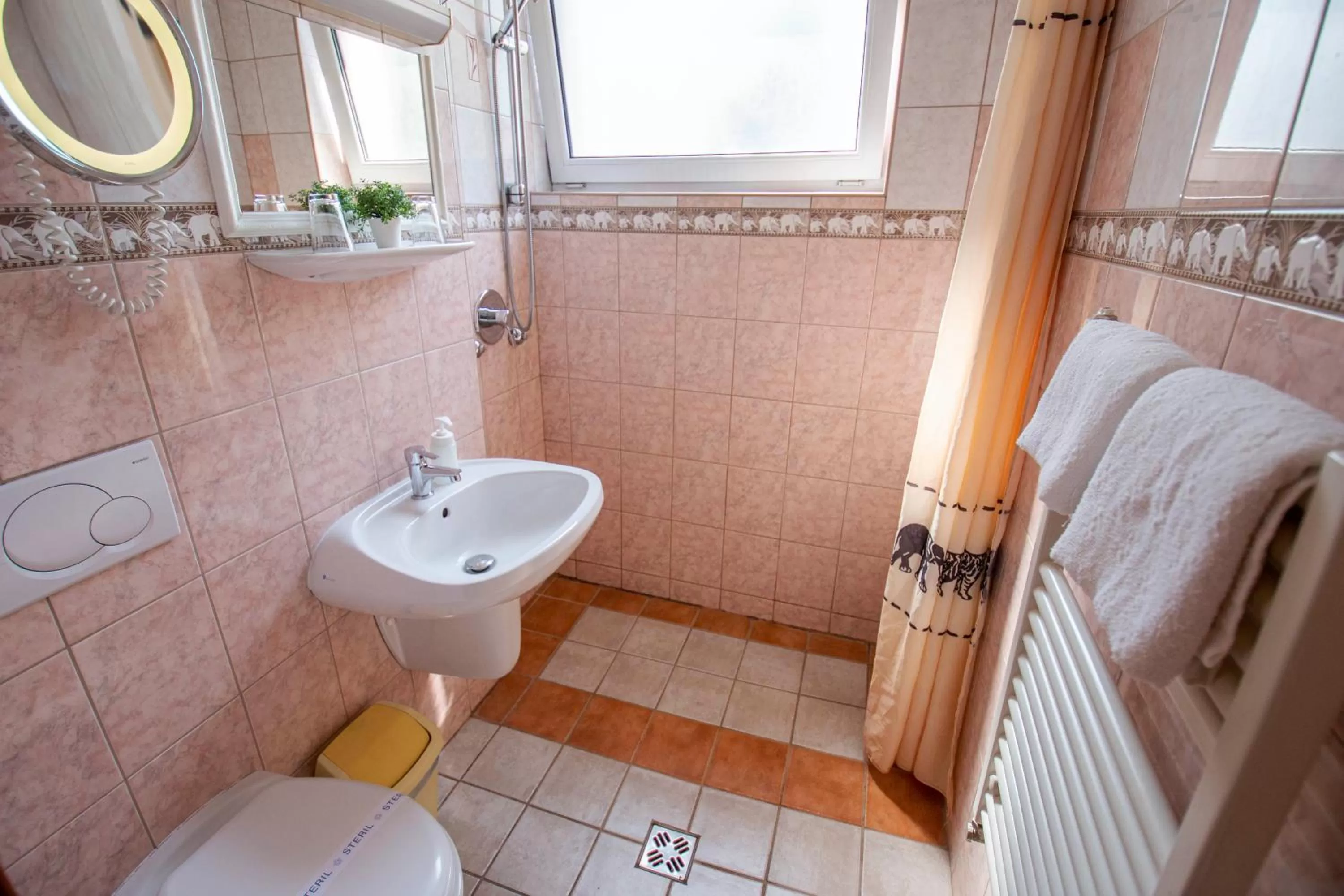 Toilet in Richter Pansion