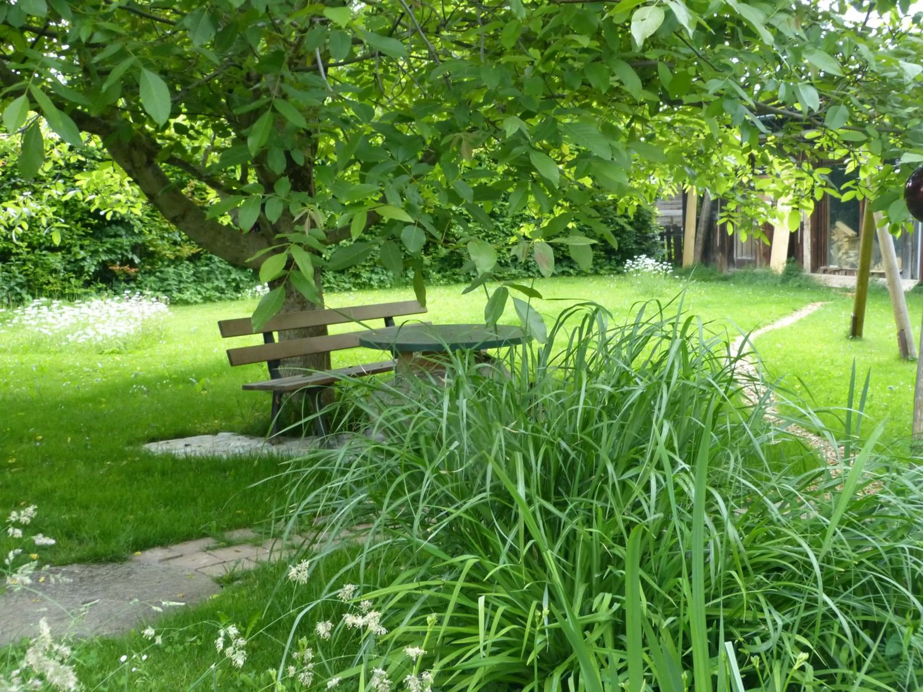 Garden in Suzanne's B&B & Gardens