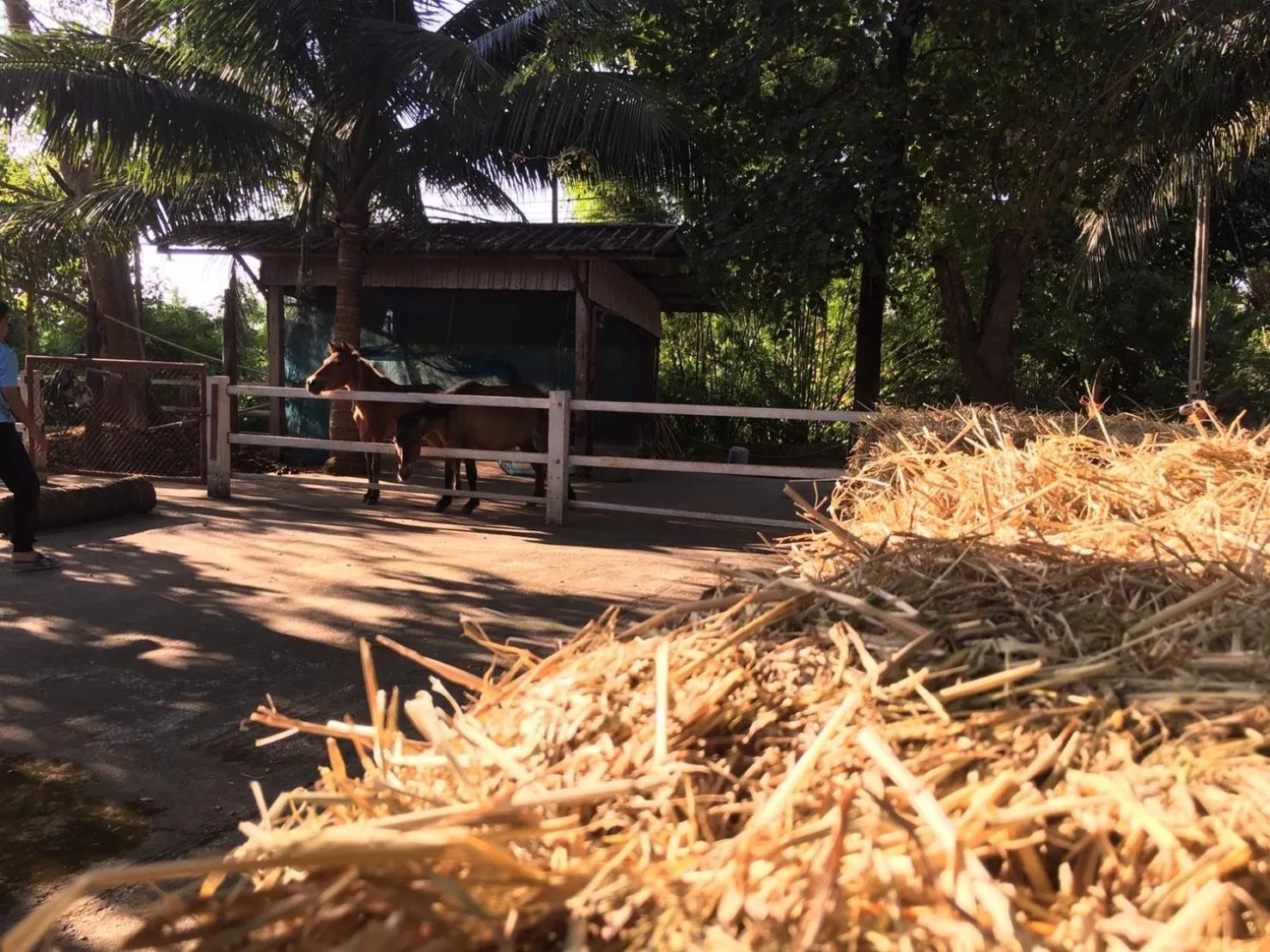 Scenic Riverside Resort