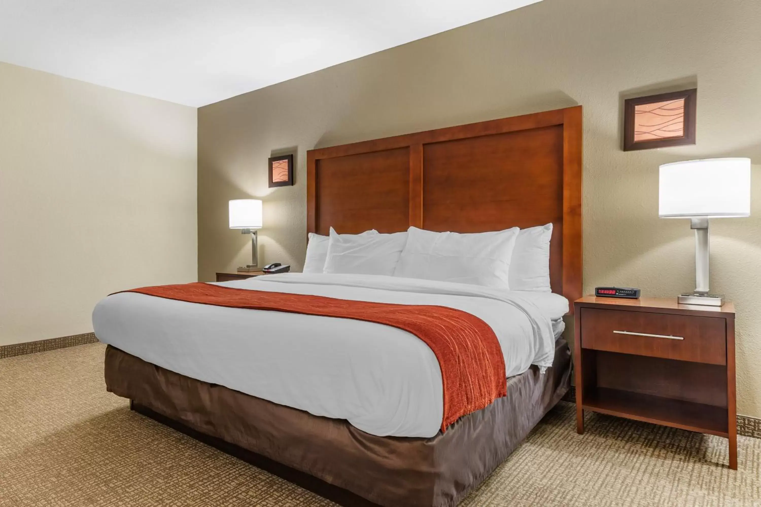 Efficiency King Suite - Non-Smoking in Comfort Inn & Suites Clemson - University Area