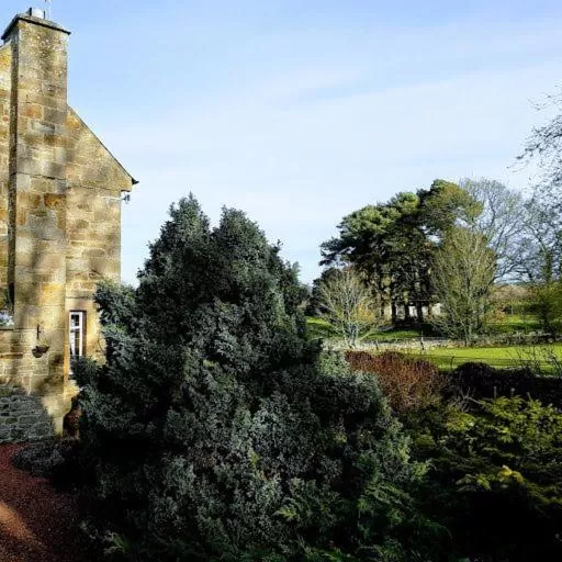 Garden view in Thornley House