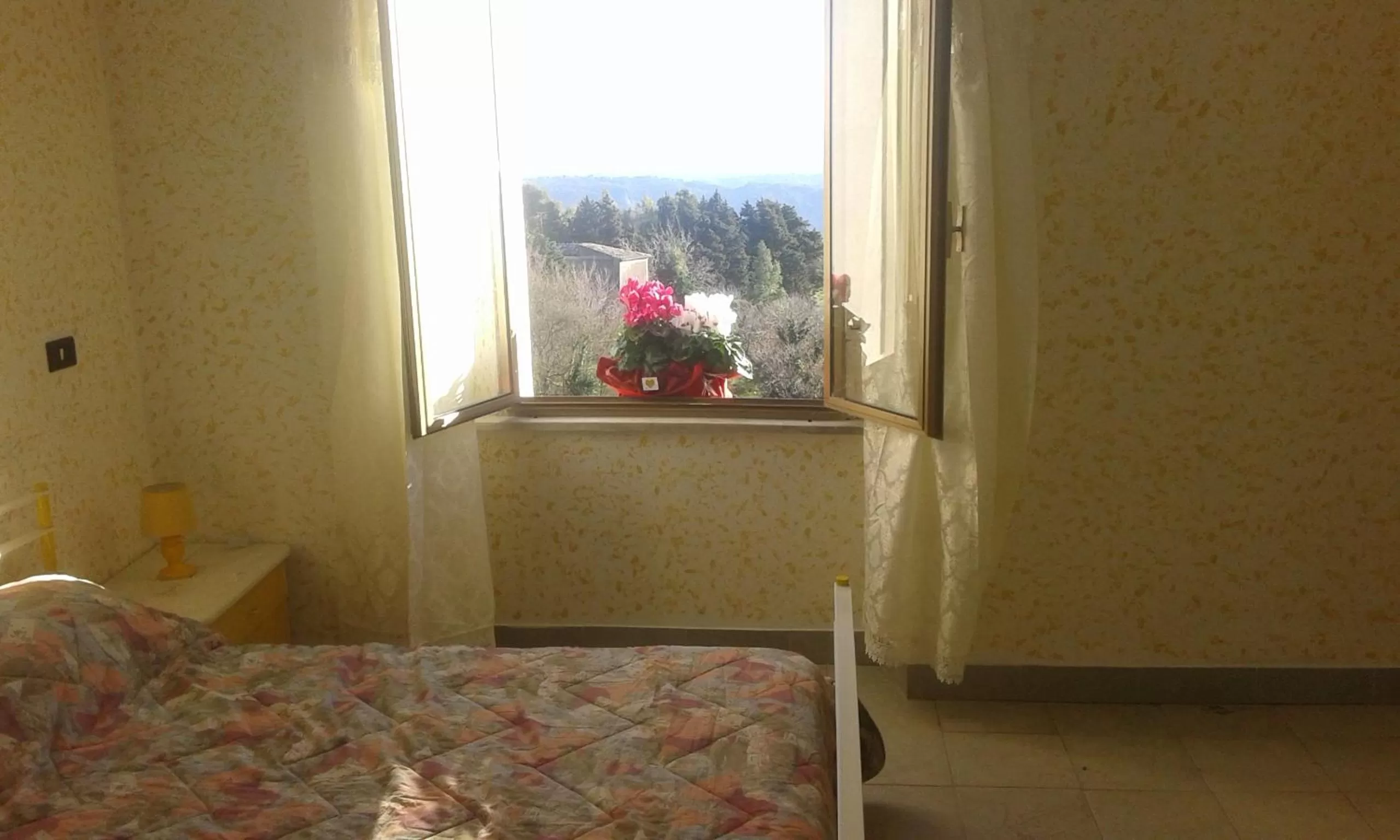 Mountain view, Bed in B&B Amato