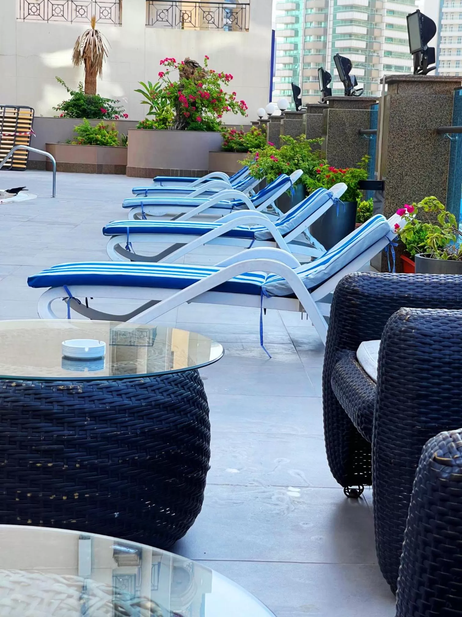 Swimming pool in Tulip Creek Hotel Apartments