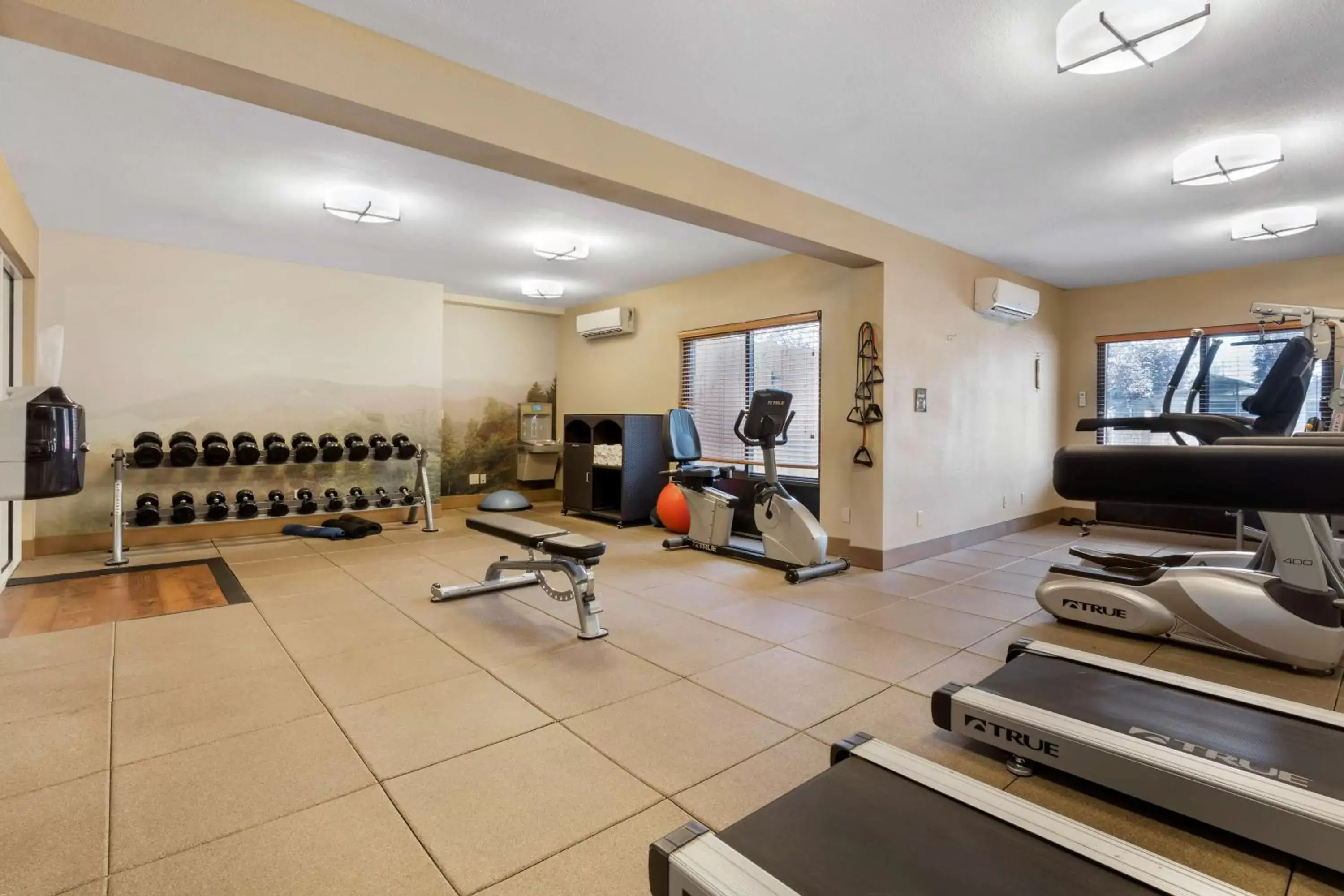 Spa and wellness centre/facilities, Fitness Center/Facilities in Best Western Plus Olympic Inn