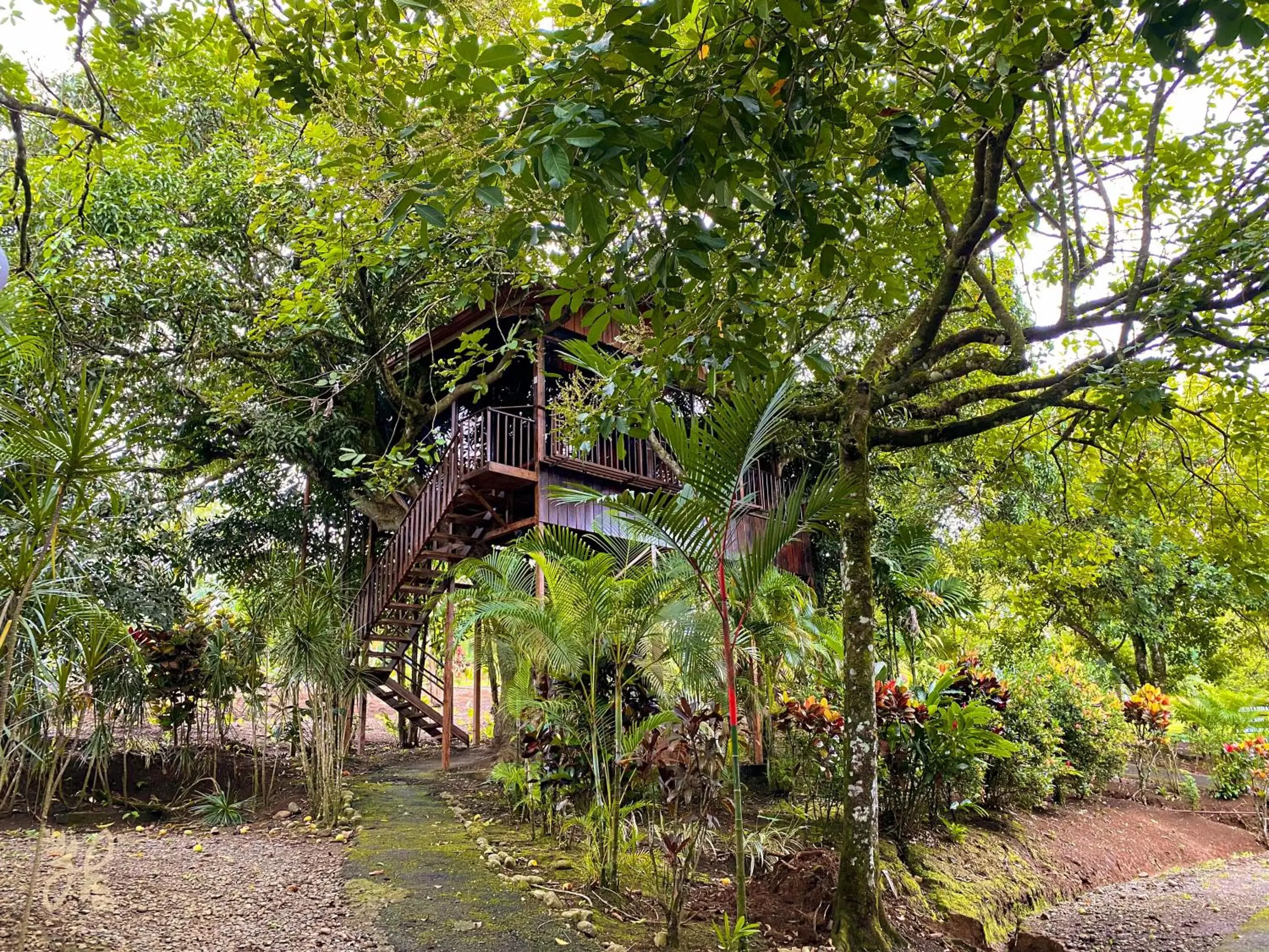 Natural landscape, Property Building in Hotel Heliconias Nature Inn & Hot Springs