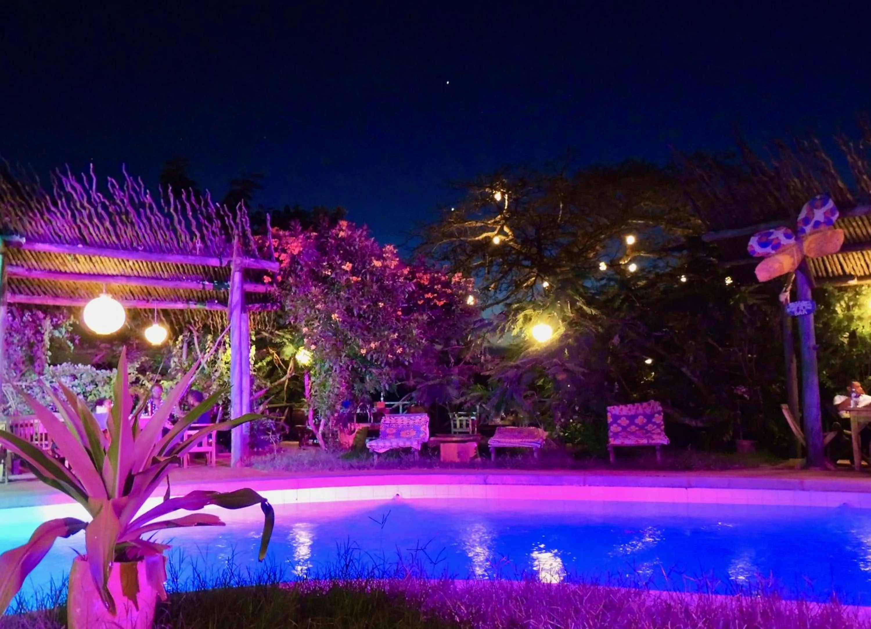 Pool view in Distant Relatives Ecolodge & Backpackers