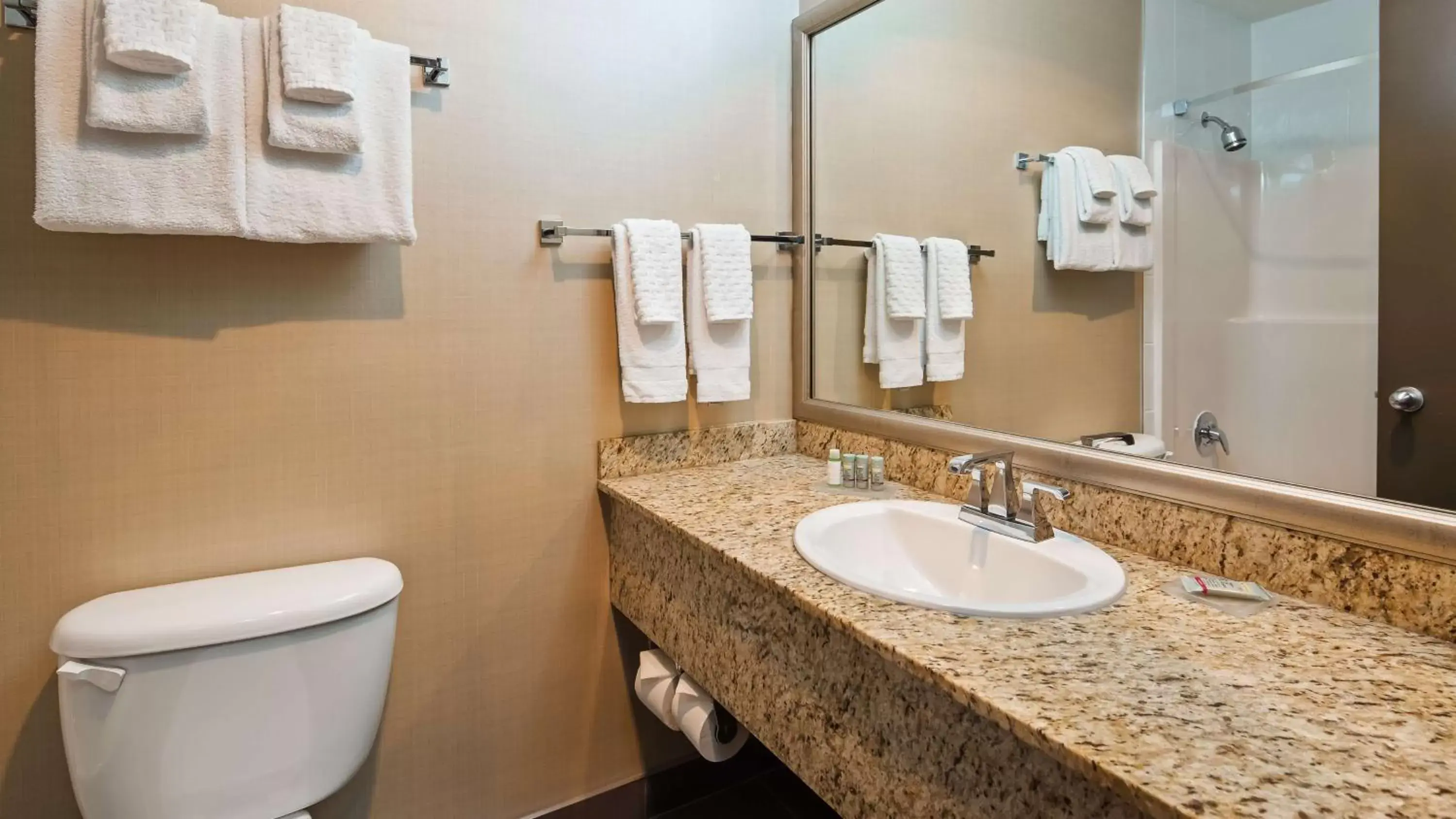 Bathroom in Best Western King George Inn & Suites