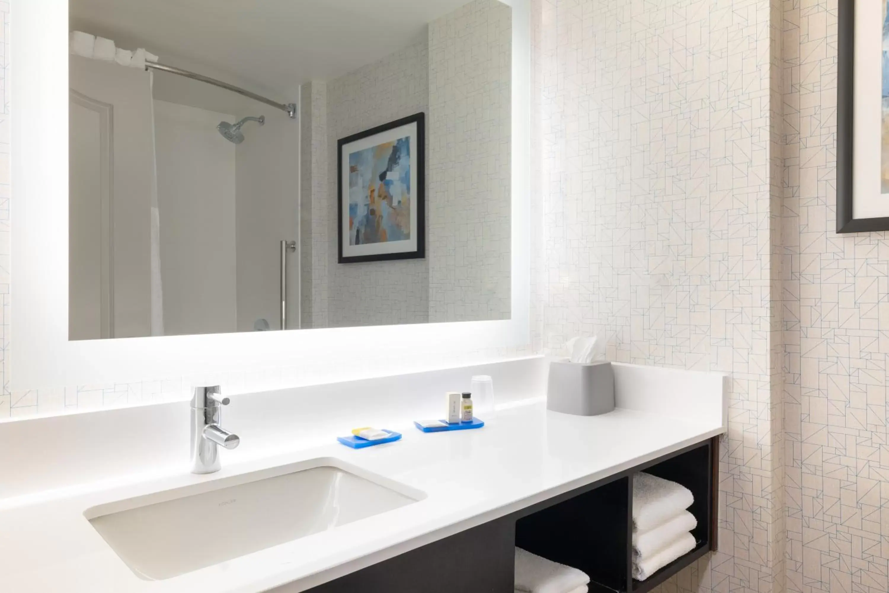 Bathroom in Holiday Inn Express & Suites Boston - Cambridge, an IHG Hotel