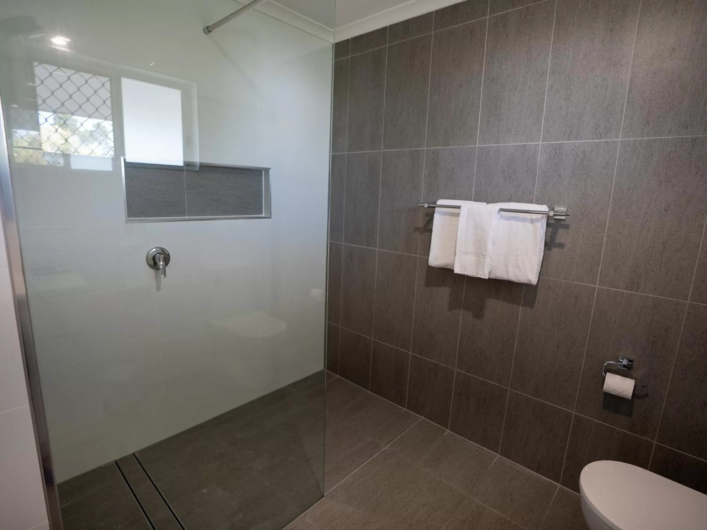 Shower, Bathroom in Best Western Ambassador Motor Lodge