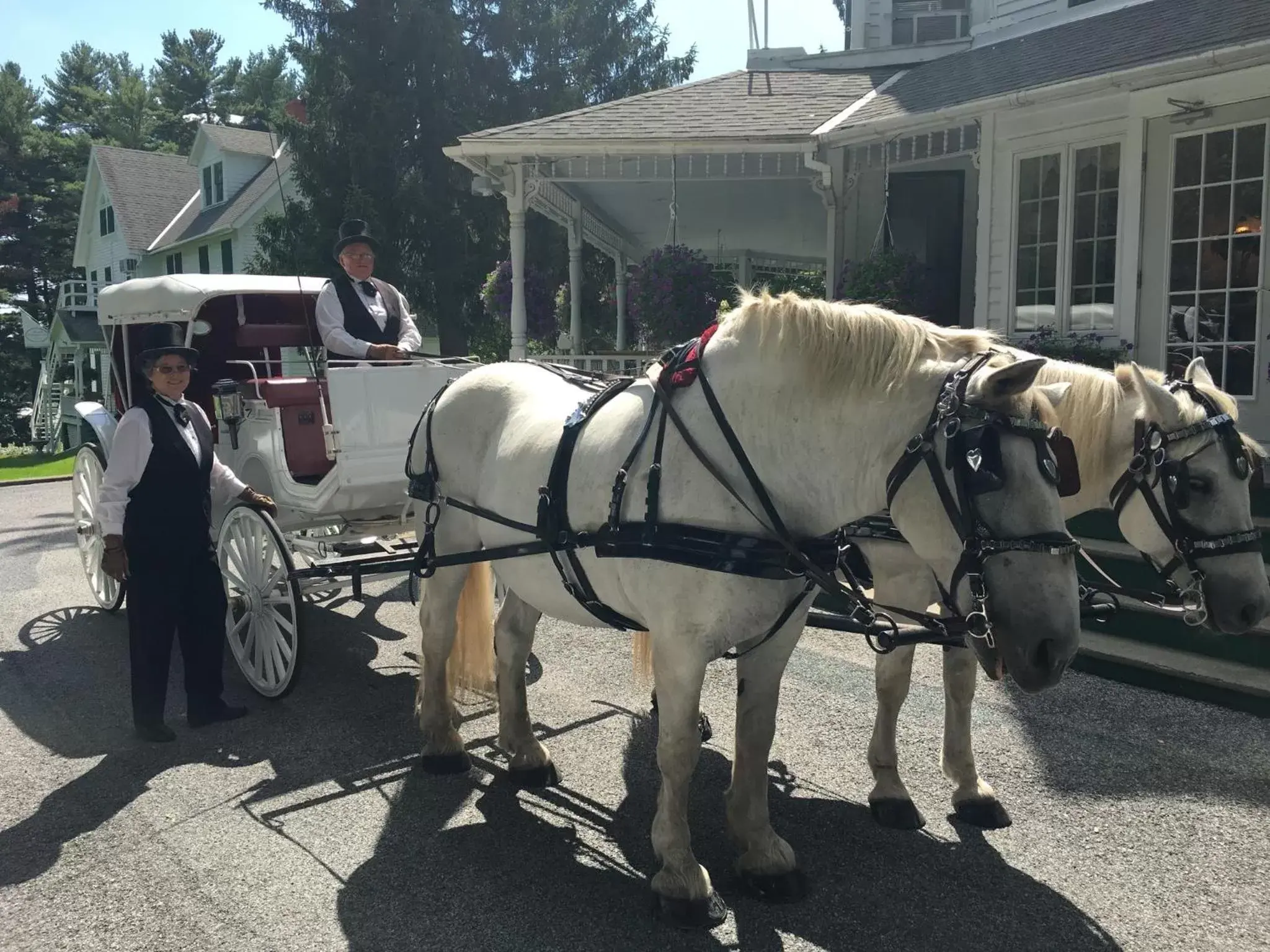 Activities, Horseback Riding in Anne's Washington Inn